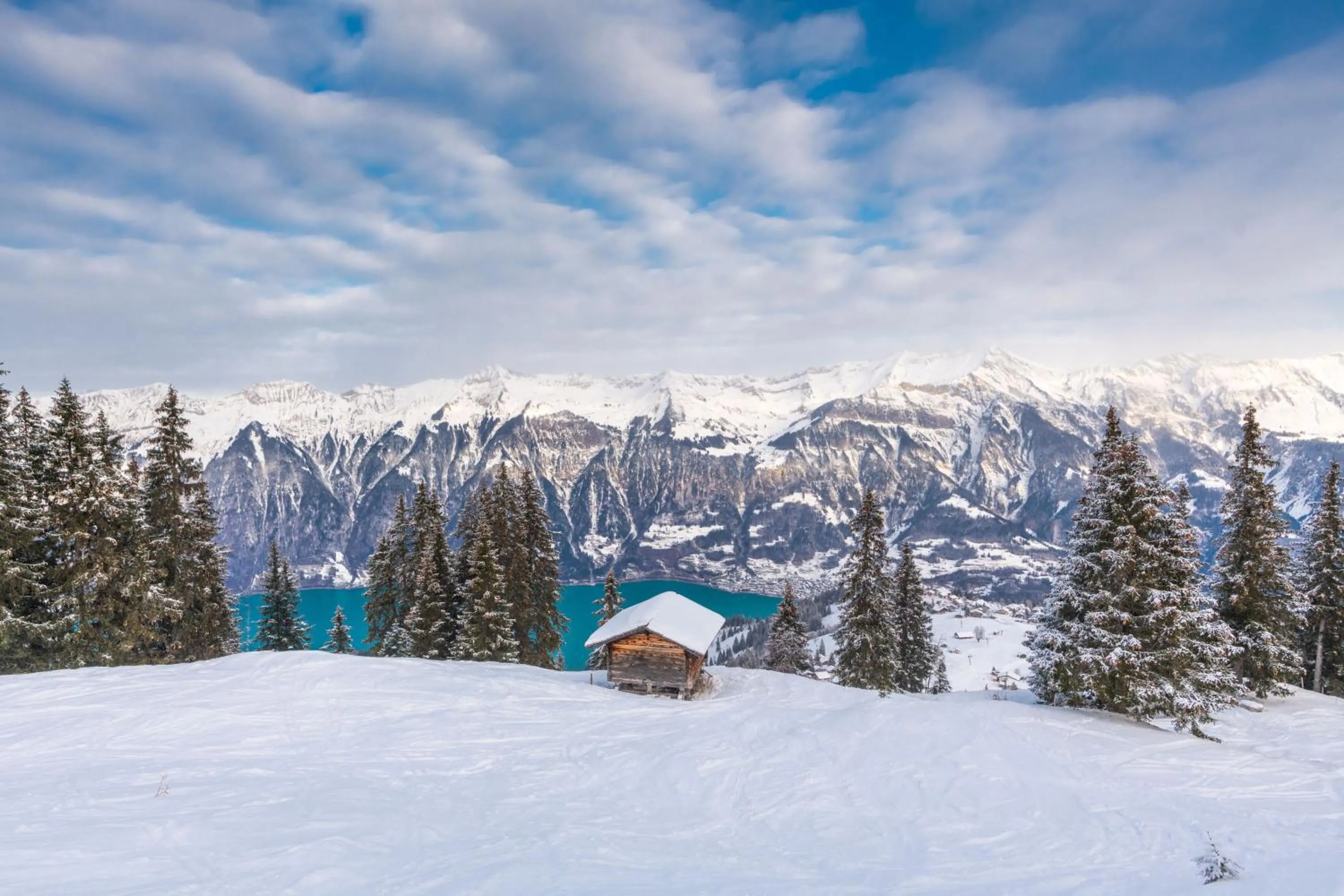 Natural landscape in Hotel Brienz