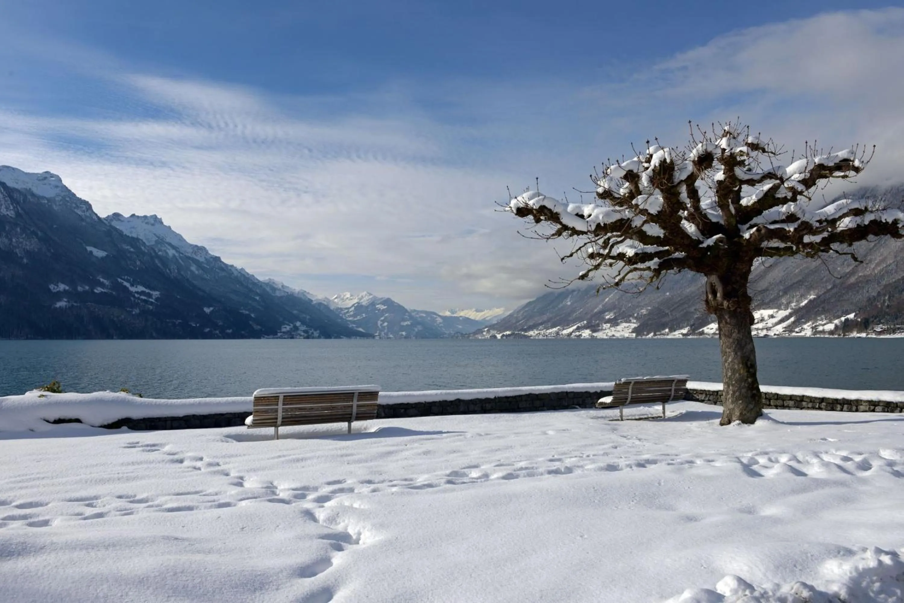 Natural landscape in Hotel Brienz
