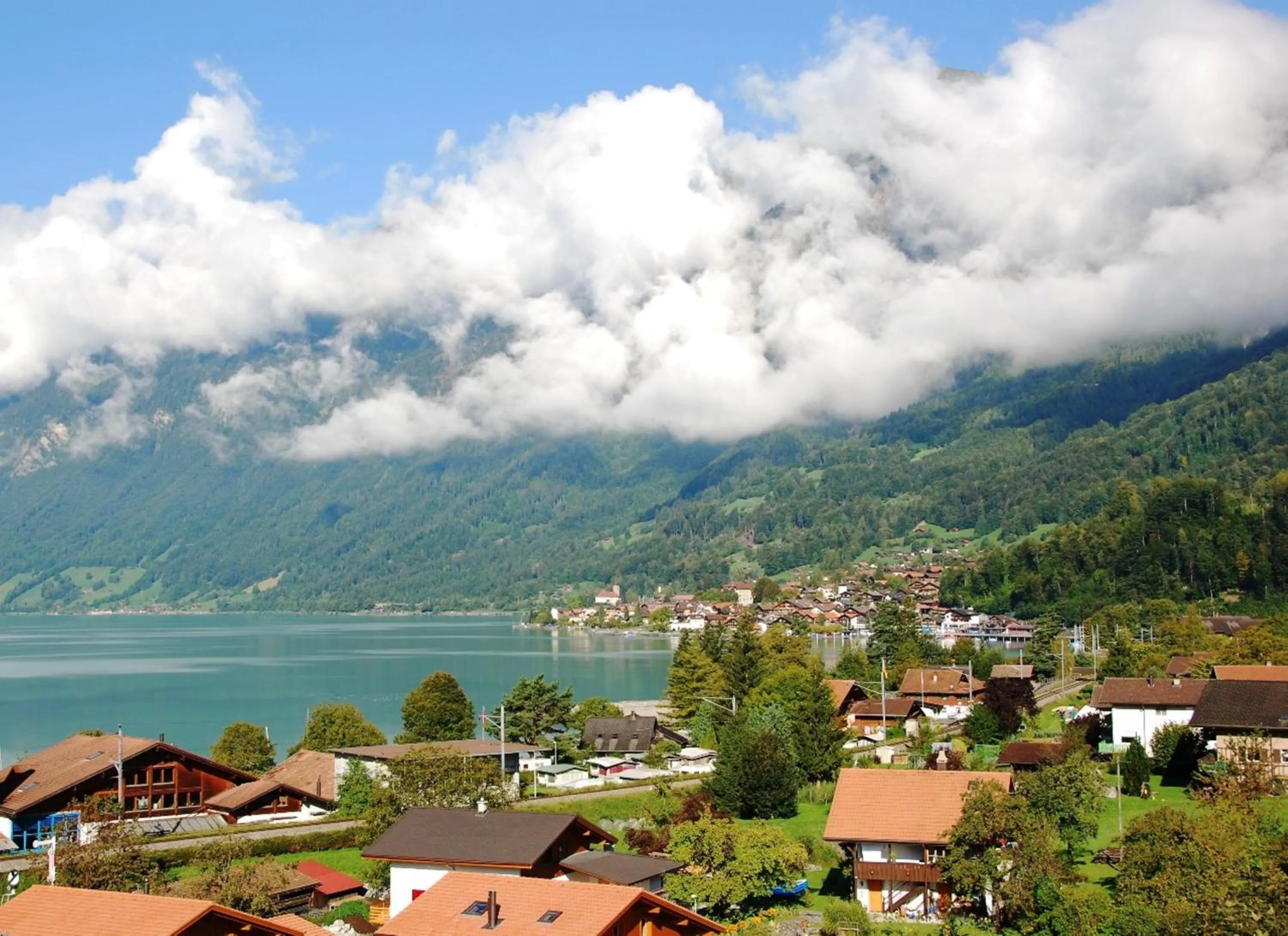 Natural landscape in Hotel Brienz