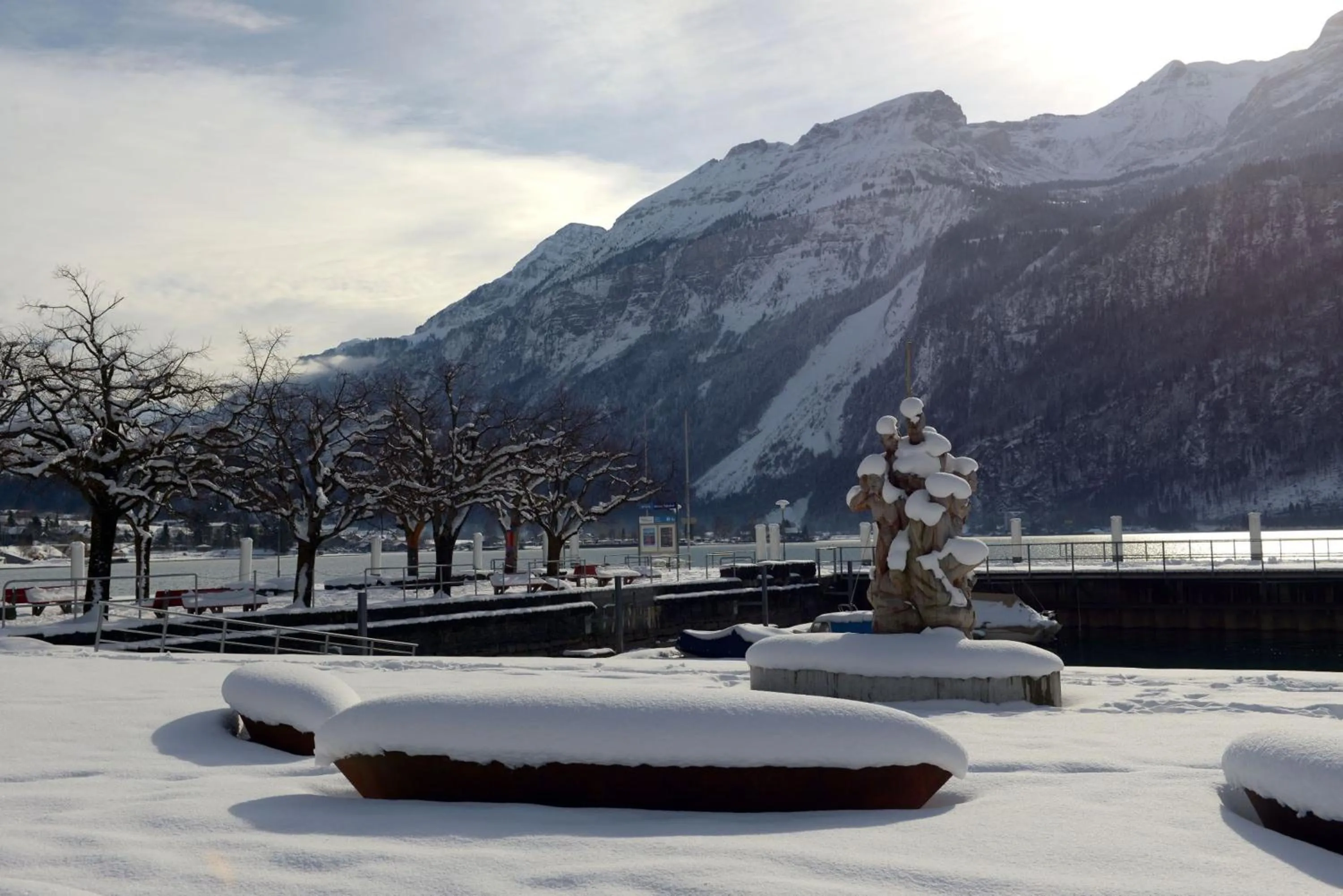 Natural landscape in Hotel Brienz