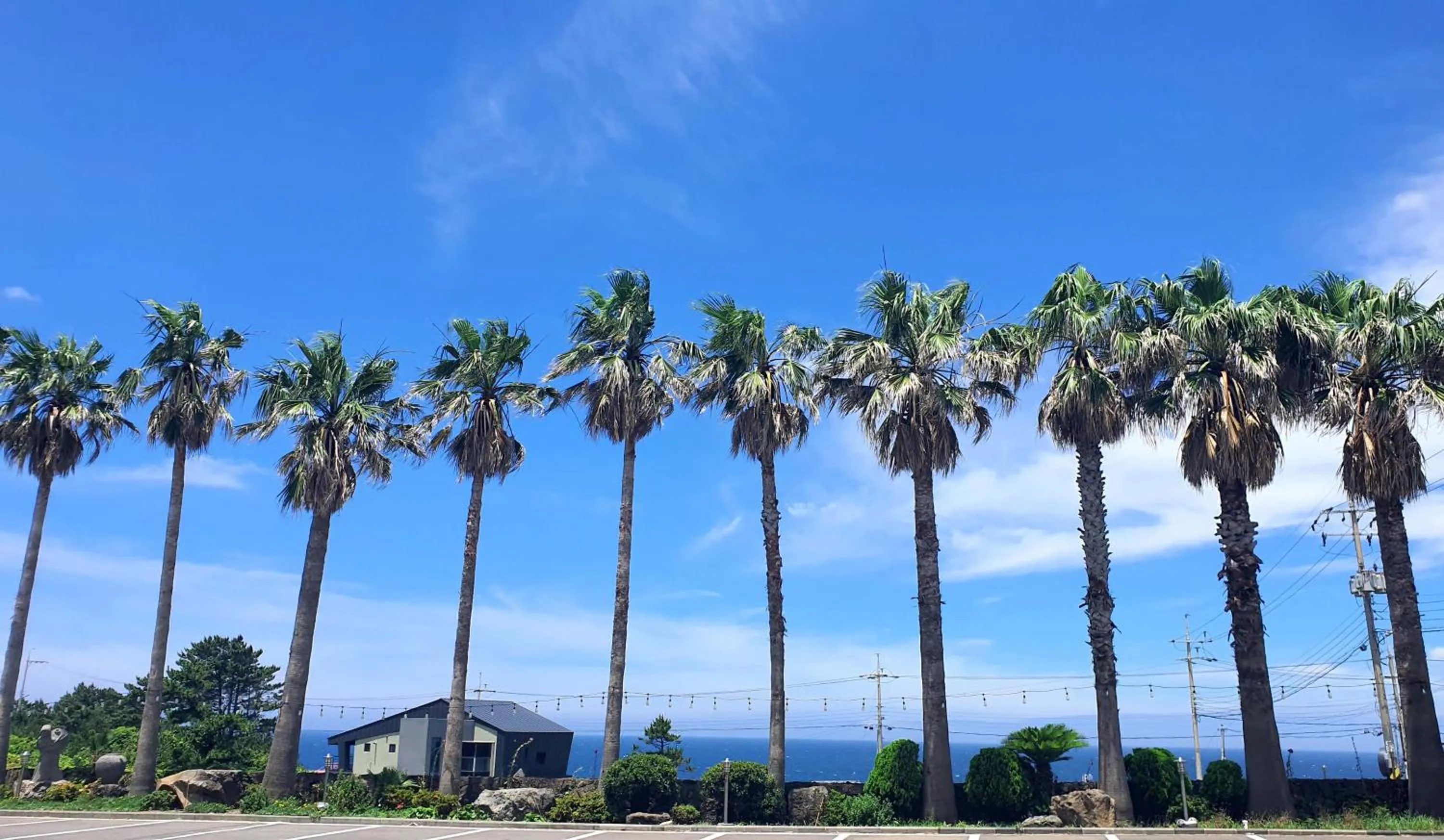 Sea view in Sea Cliff Hotel Jeju