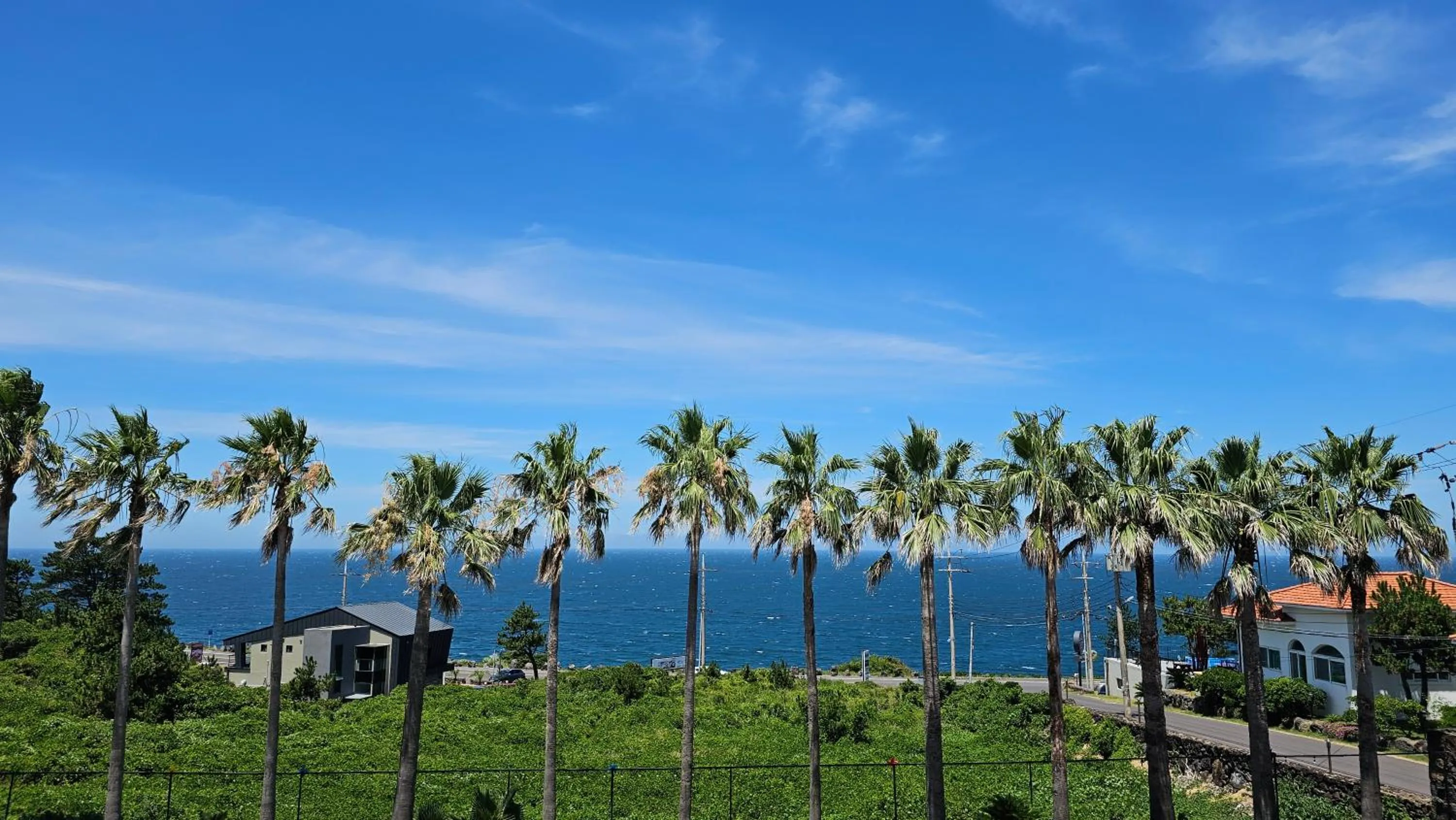 Balcony/Terrace in Sea Cliff Hotel Jeju