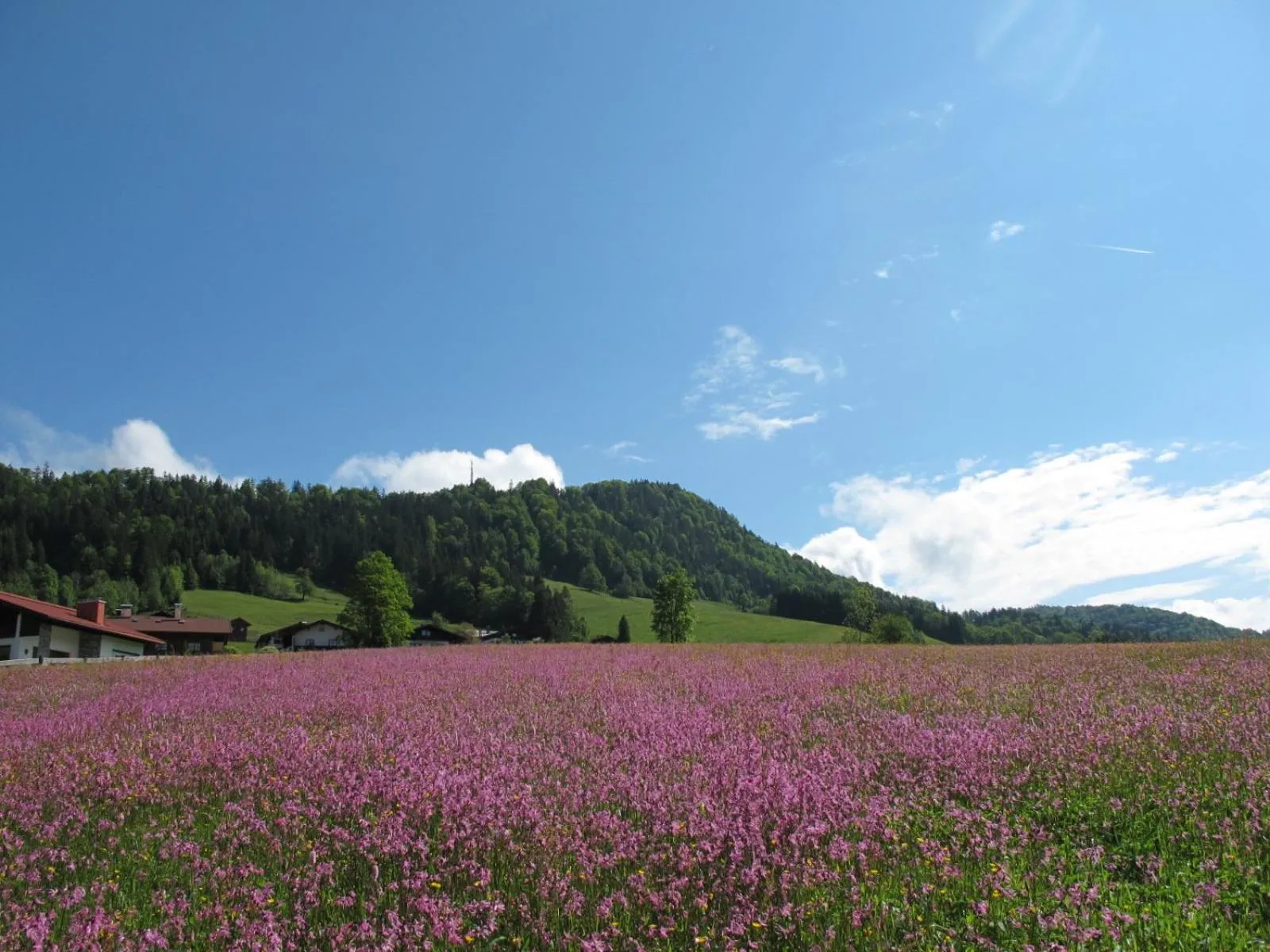 Mountain view in Gästehaus Bergstüberl