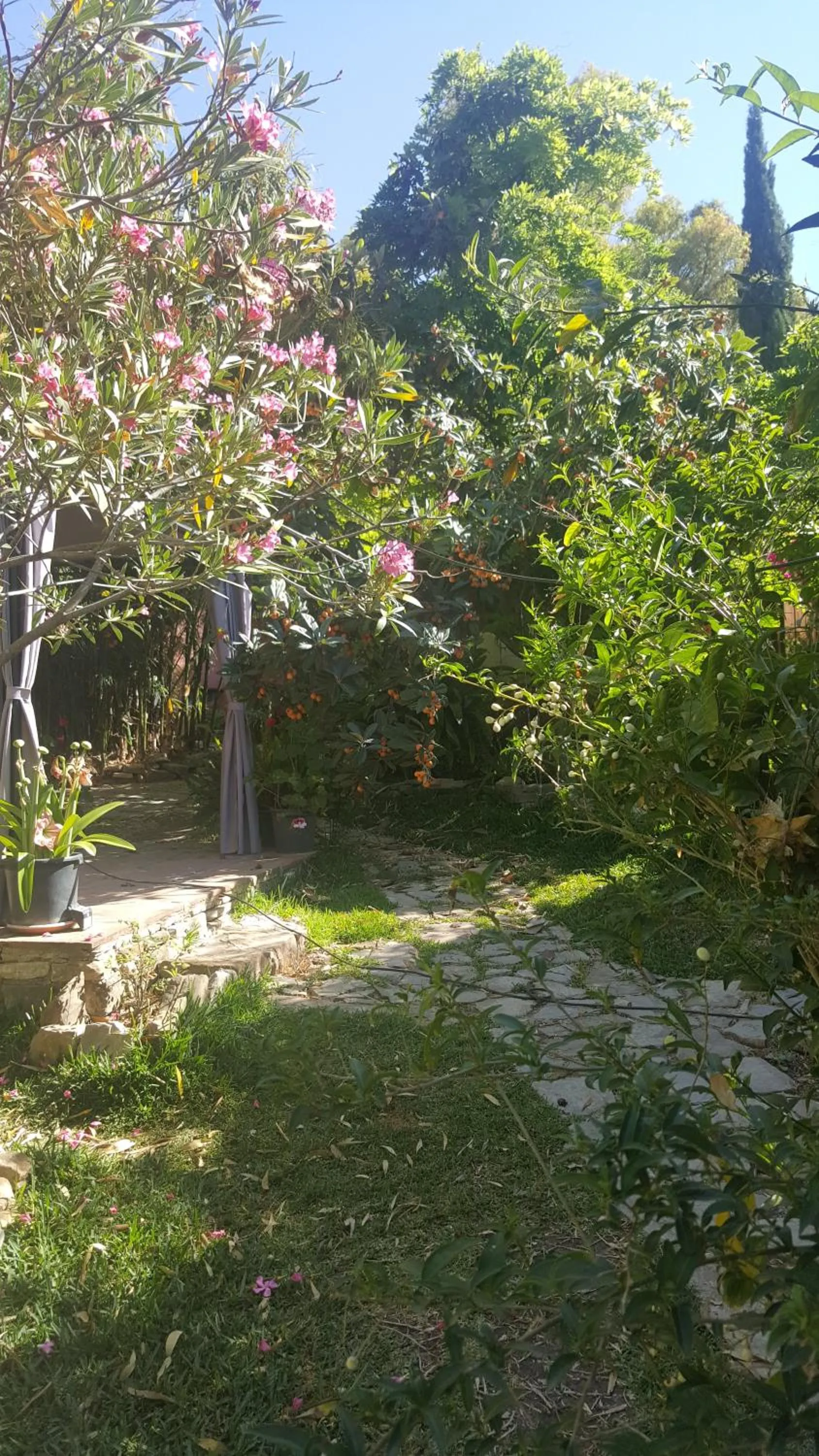 Property building in Eco Moyano Posada