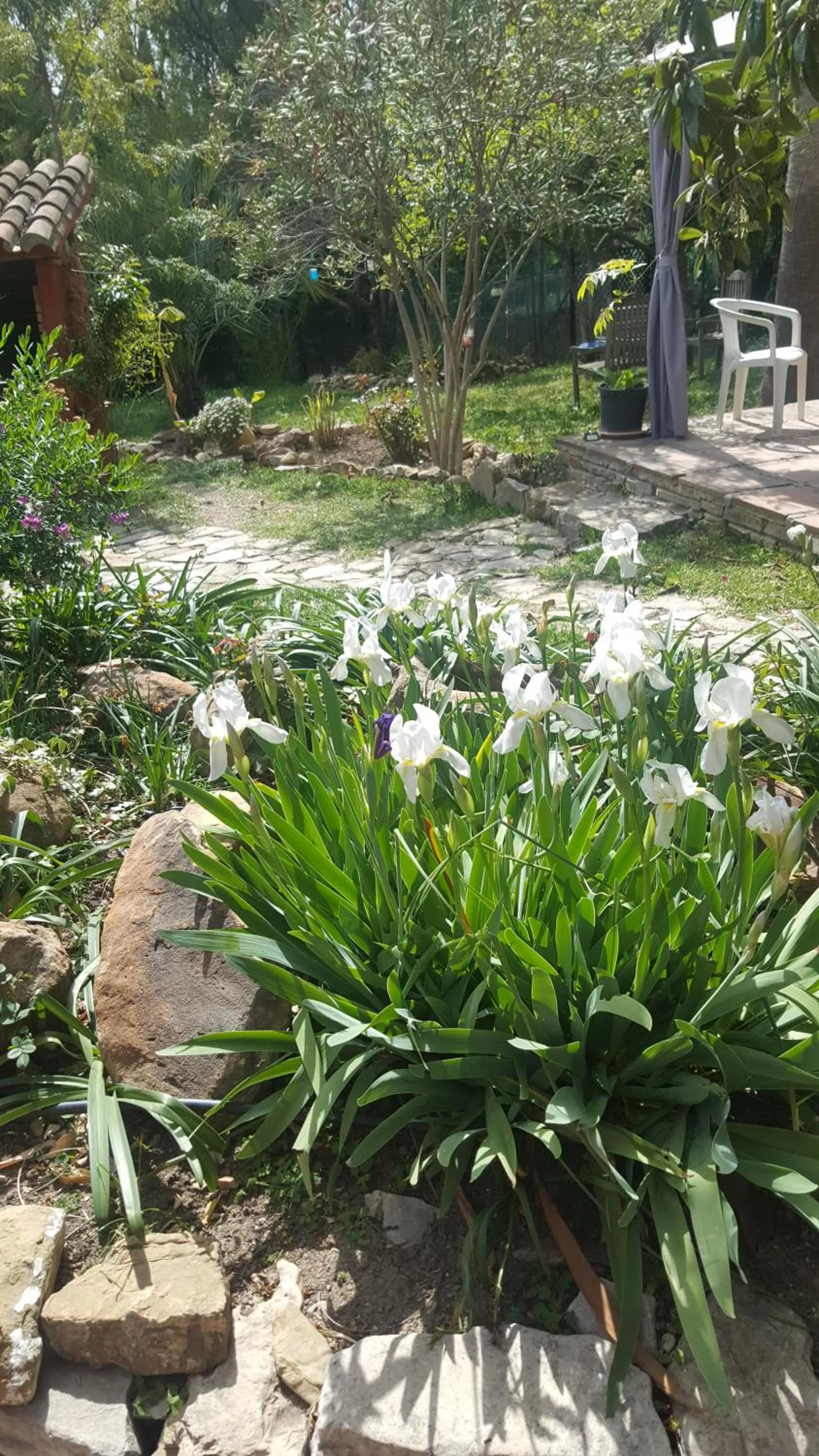 Property building in Eco Moyano Posada