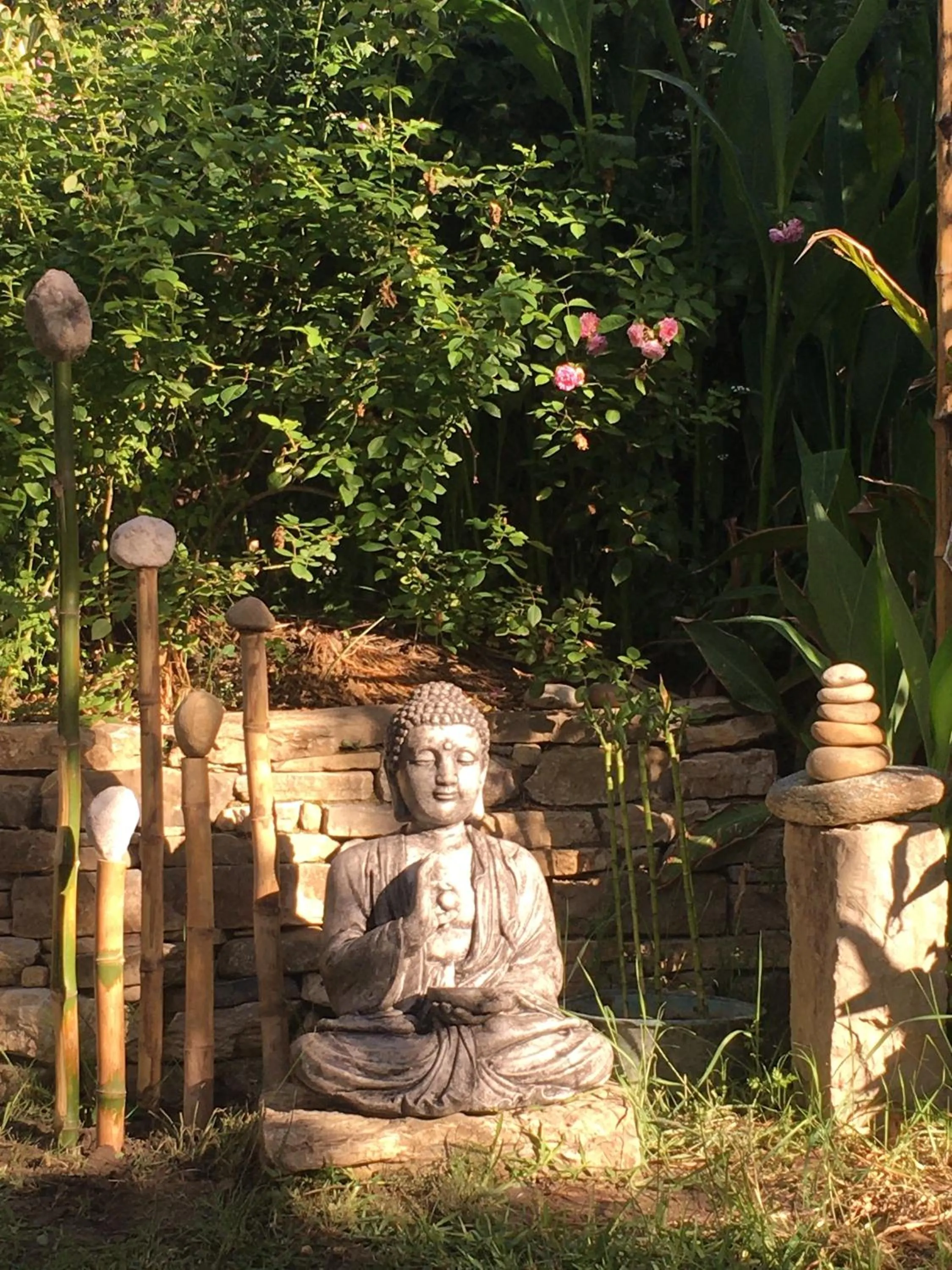 Garden in Eco Moyano Posada