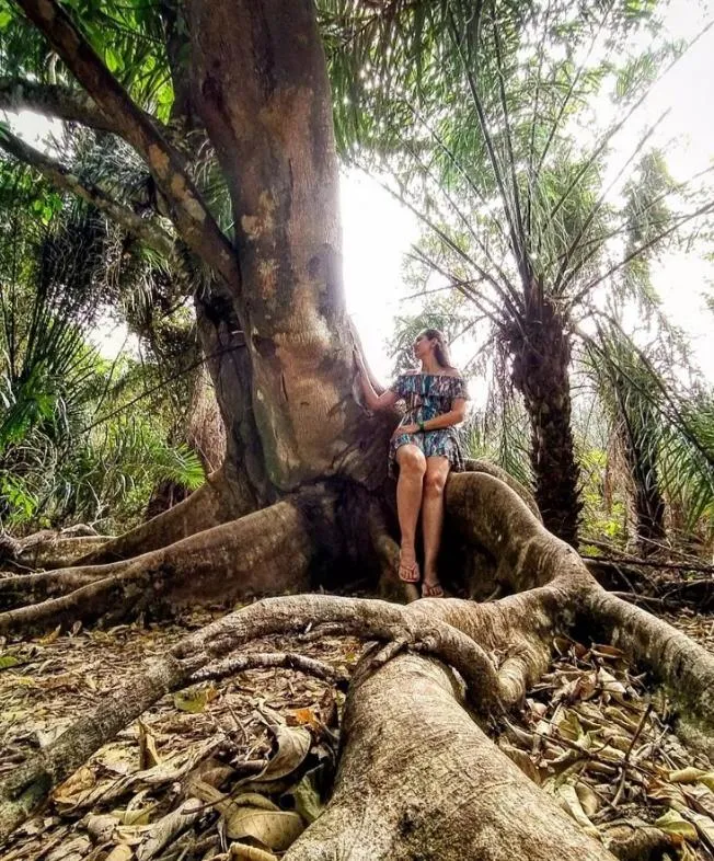 Pousada Céu de Estrelas