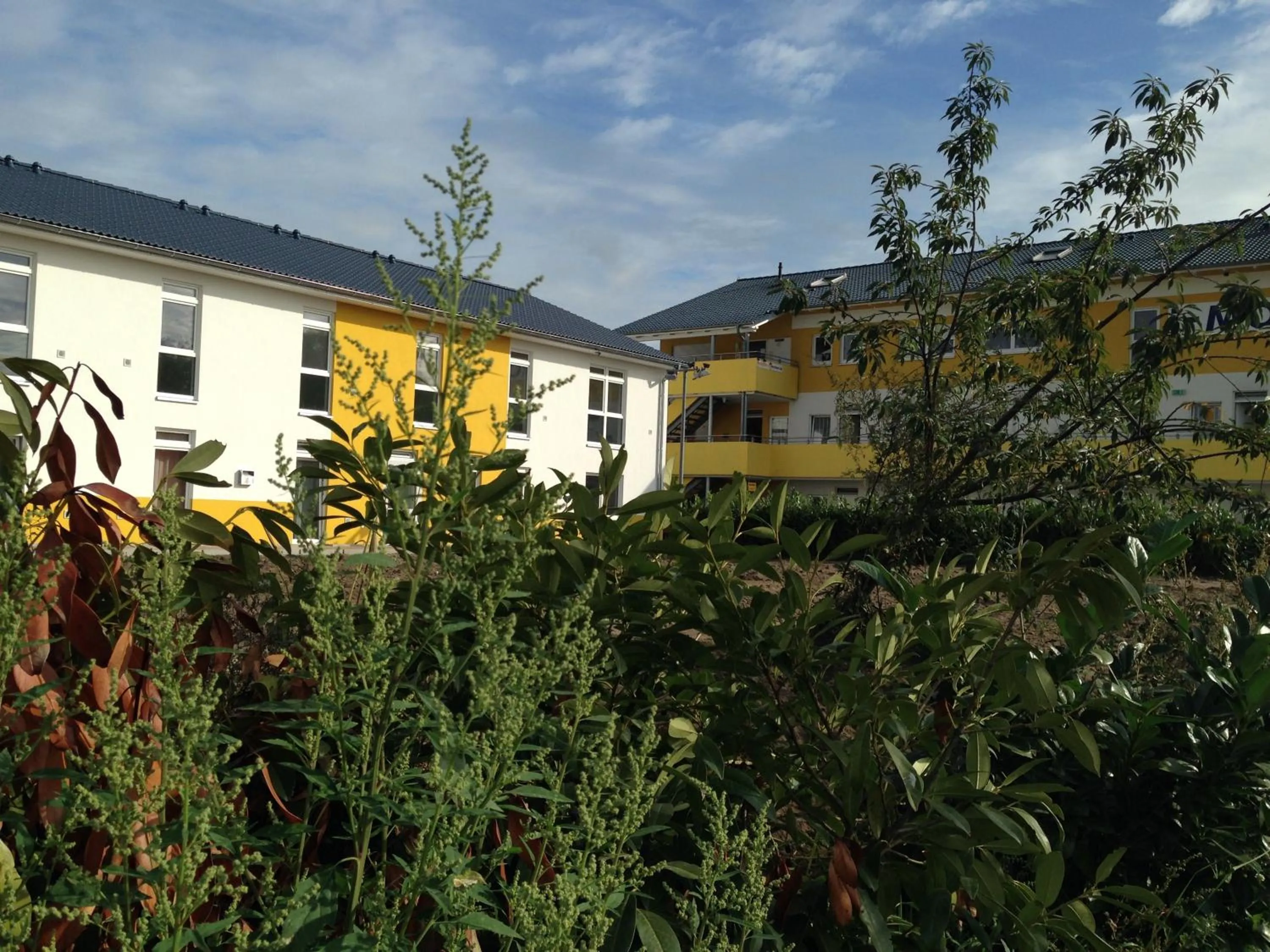 Property building in i-Motel