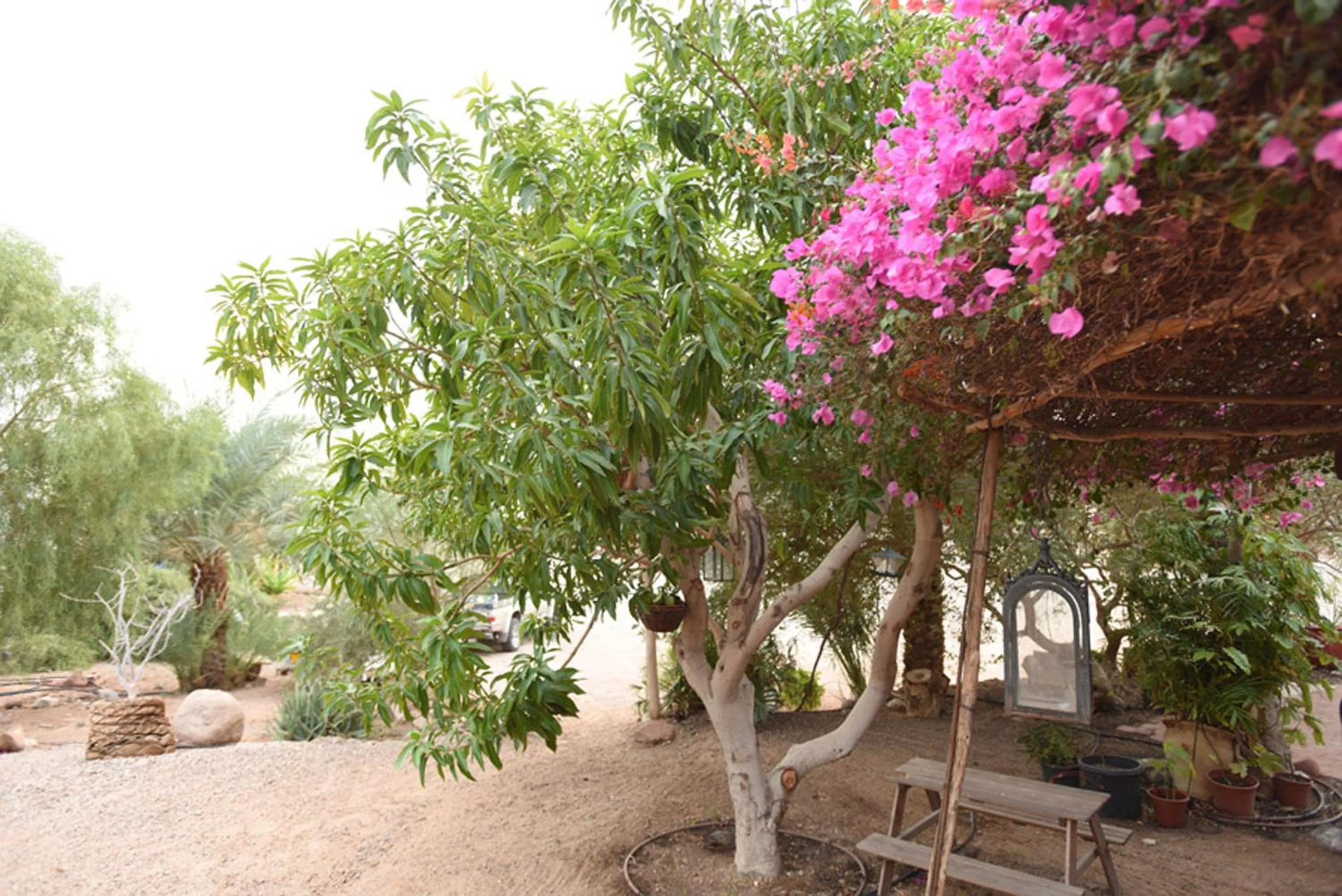 Property building in Williams House