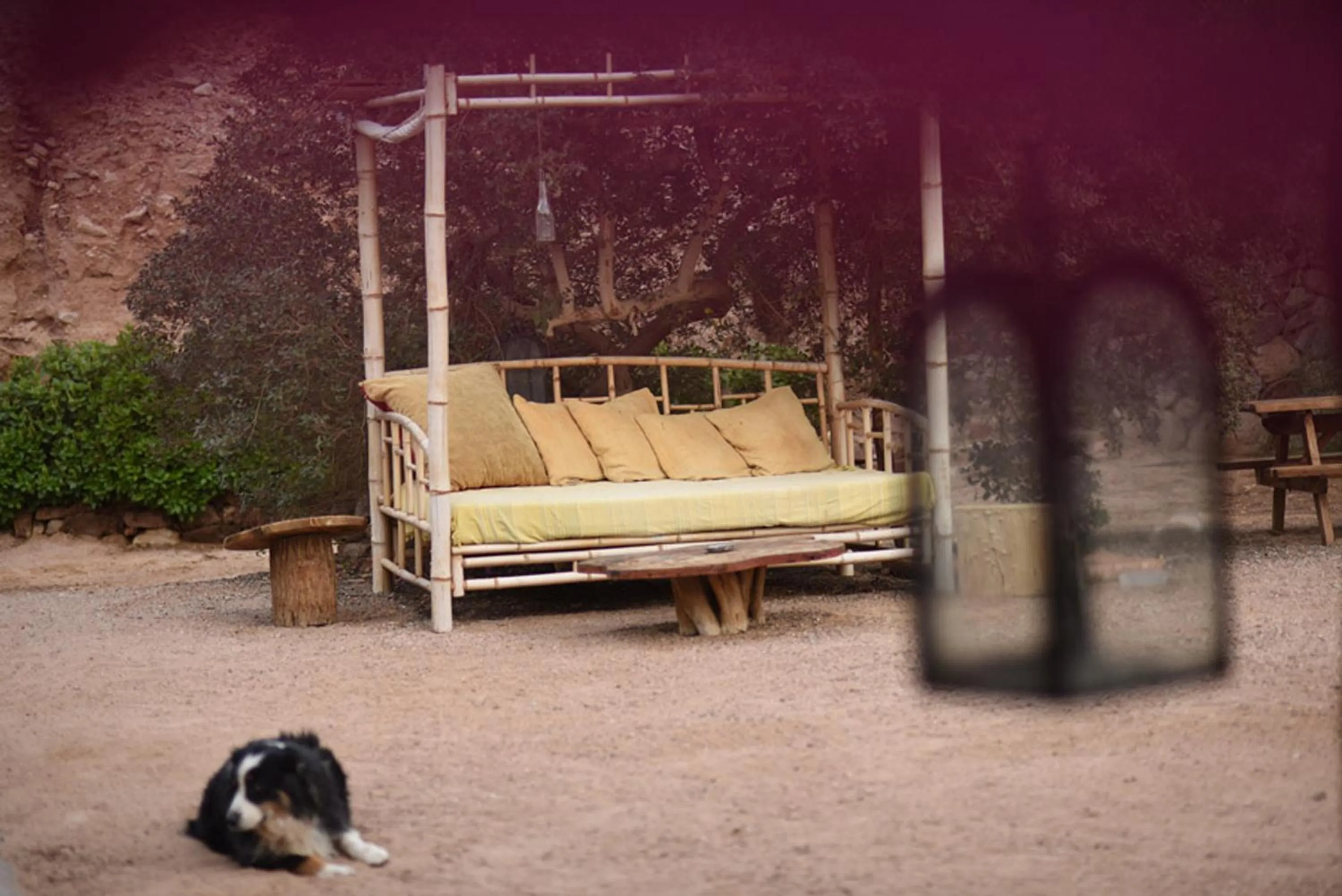 Property building in Williams House