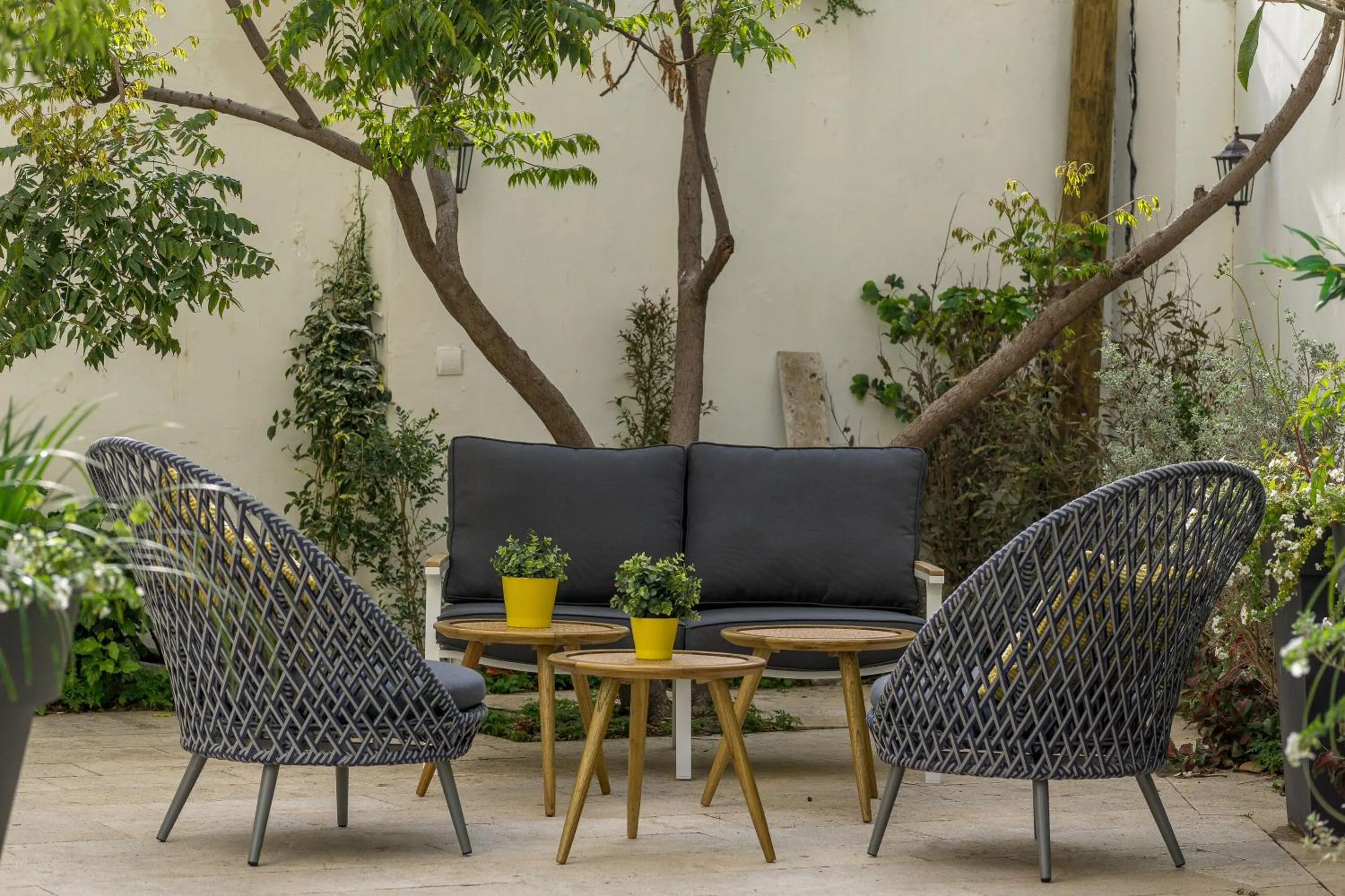 Garden in Olive The White House