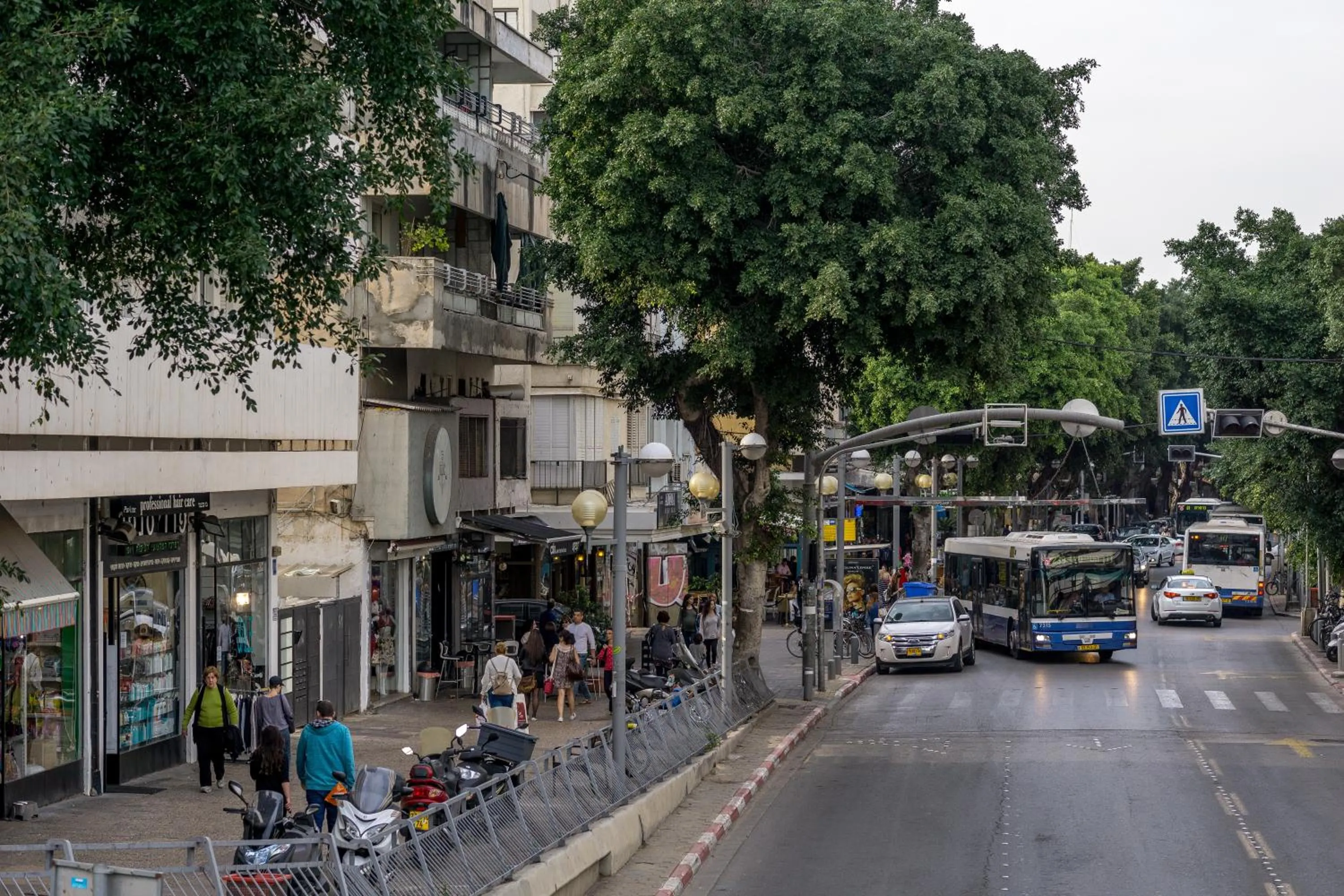 Restaurant/places to eat in Olive The White House