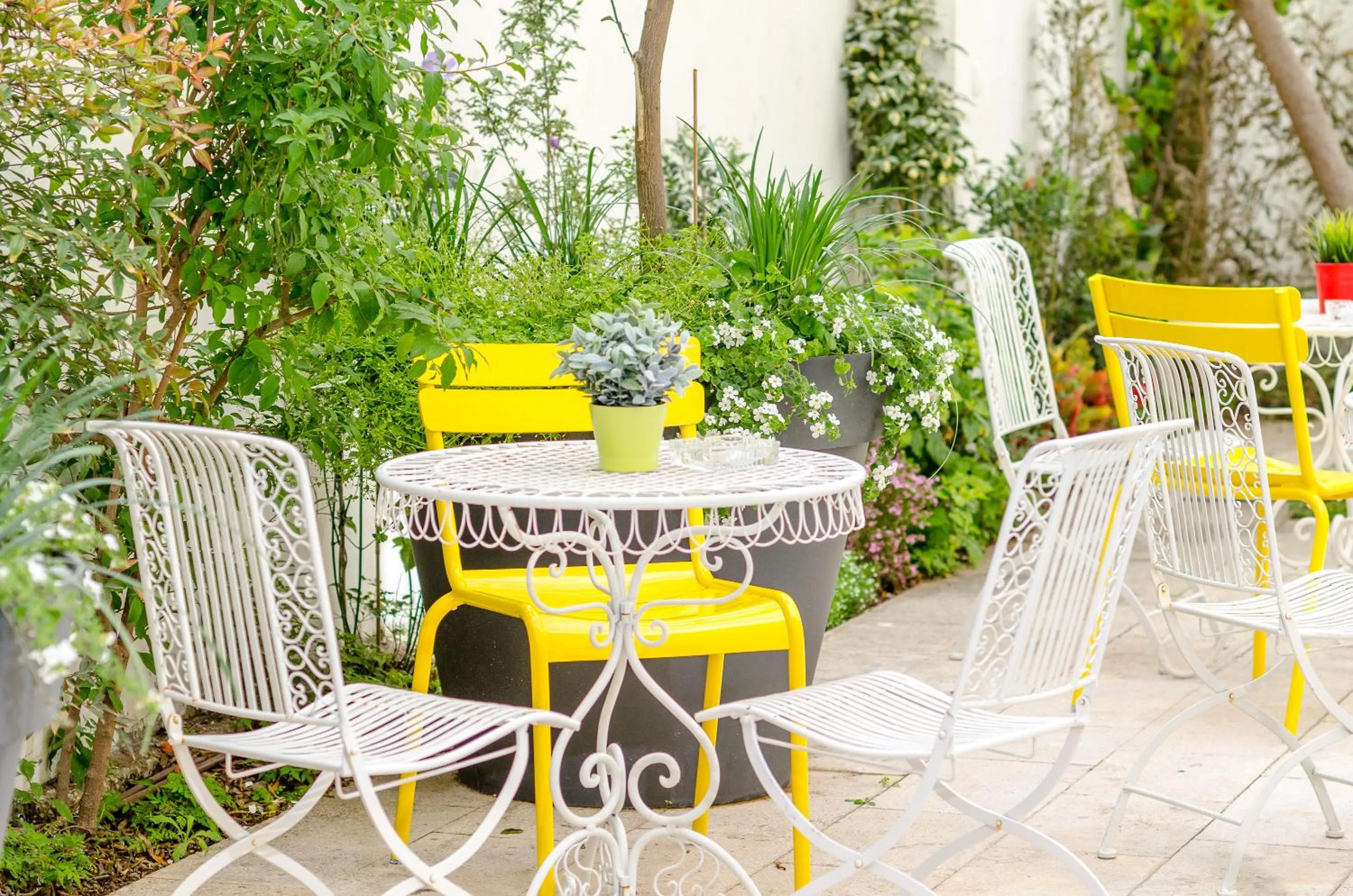 Garden in Olive The White House