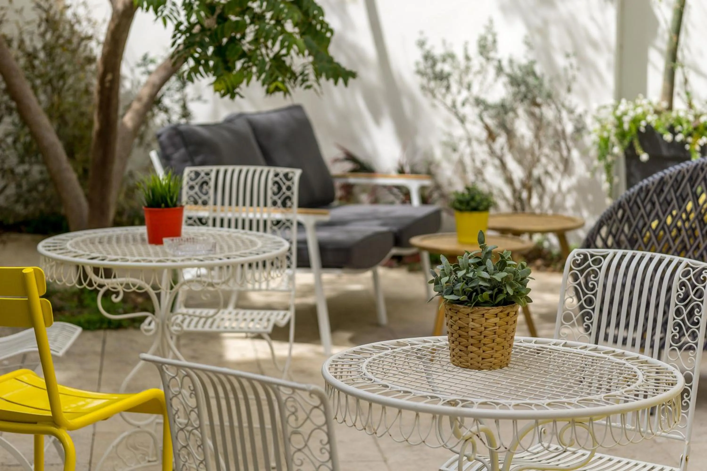 Garden, Lounge/Bar in Olive The White House