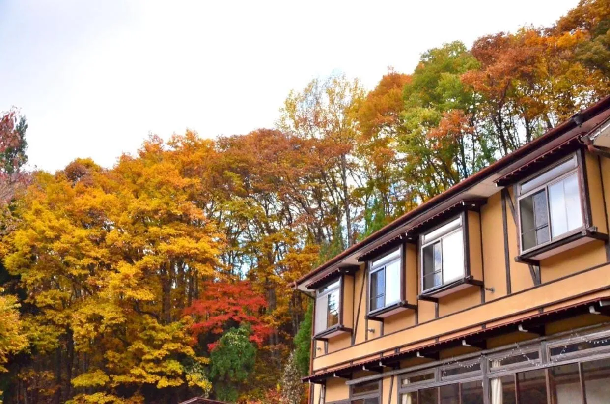 Property building in Cocomock House