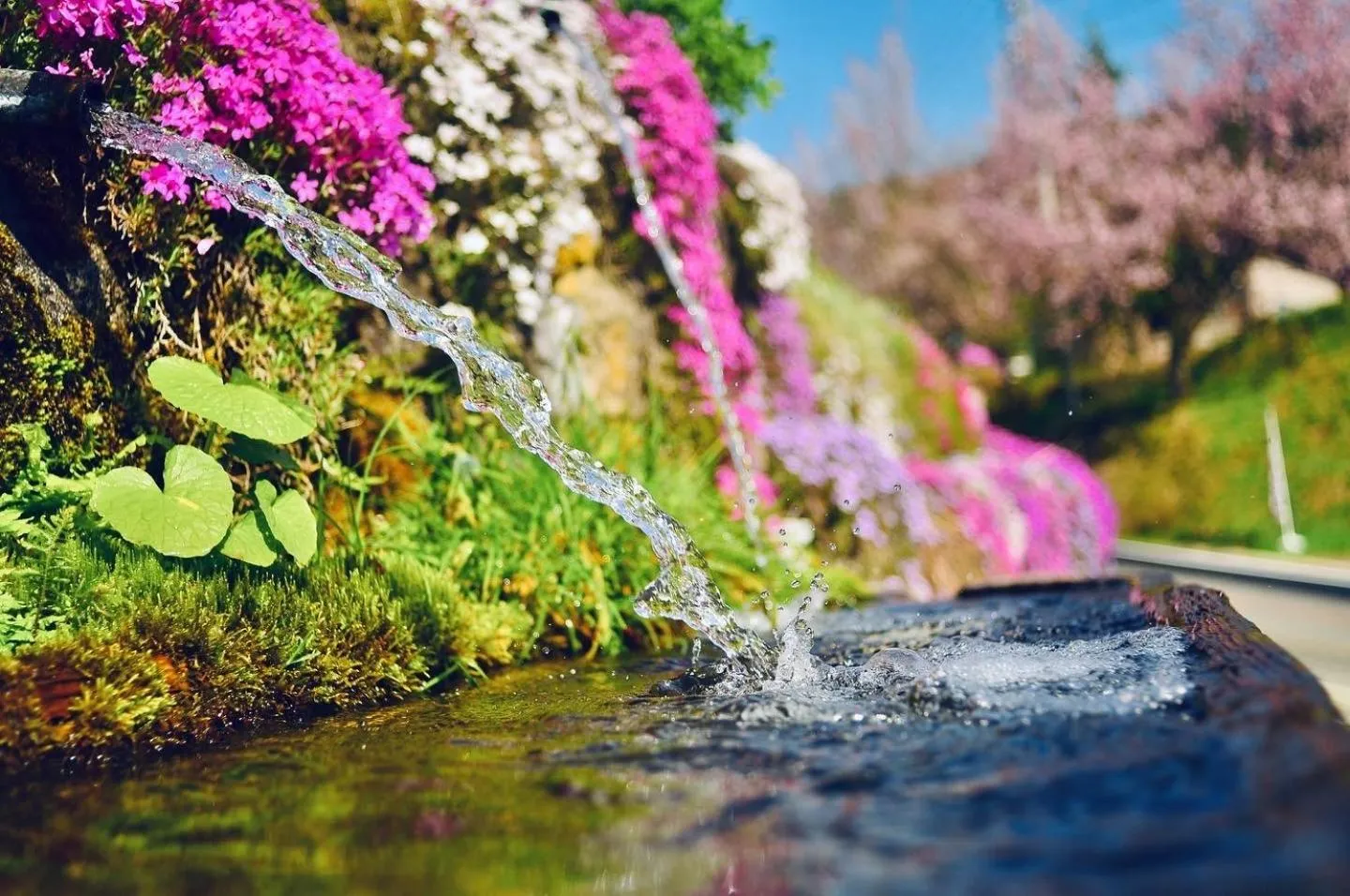 Property building in Cocomock House