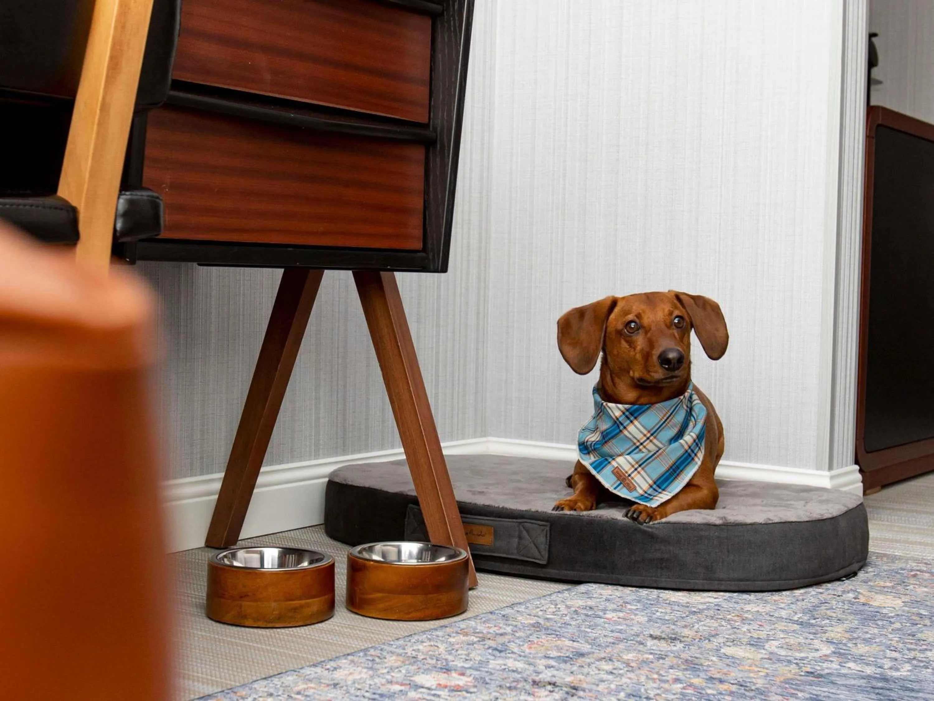 Other in MUZE Hotel Dusseldorf - Handwritten Collection