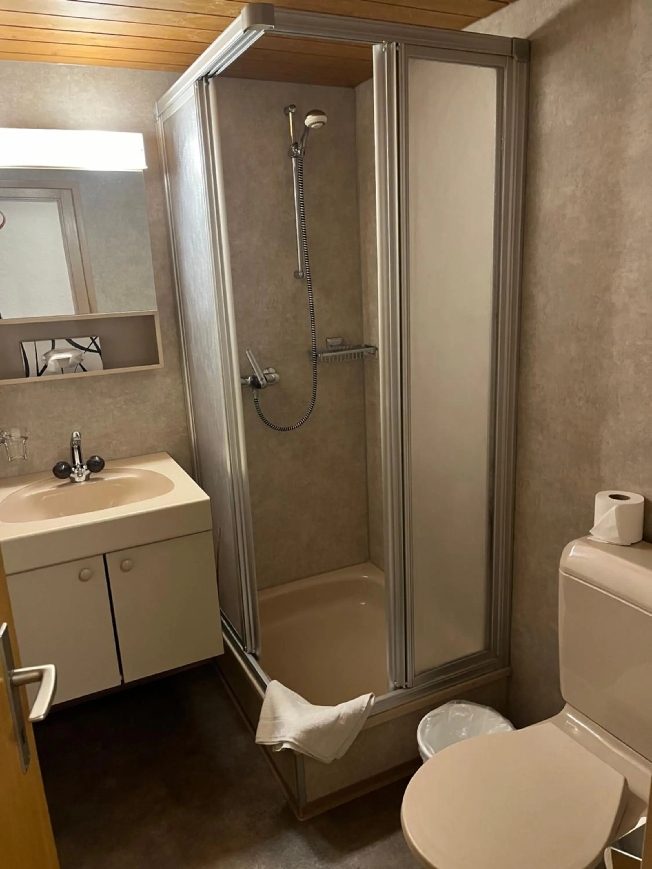 Historic Hotel Steinbock