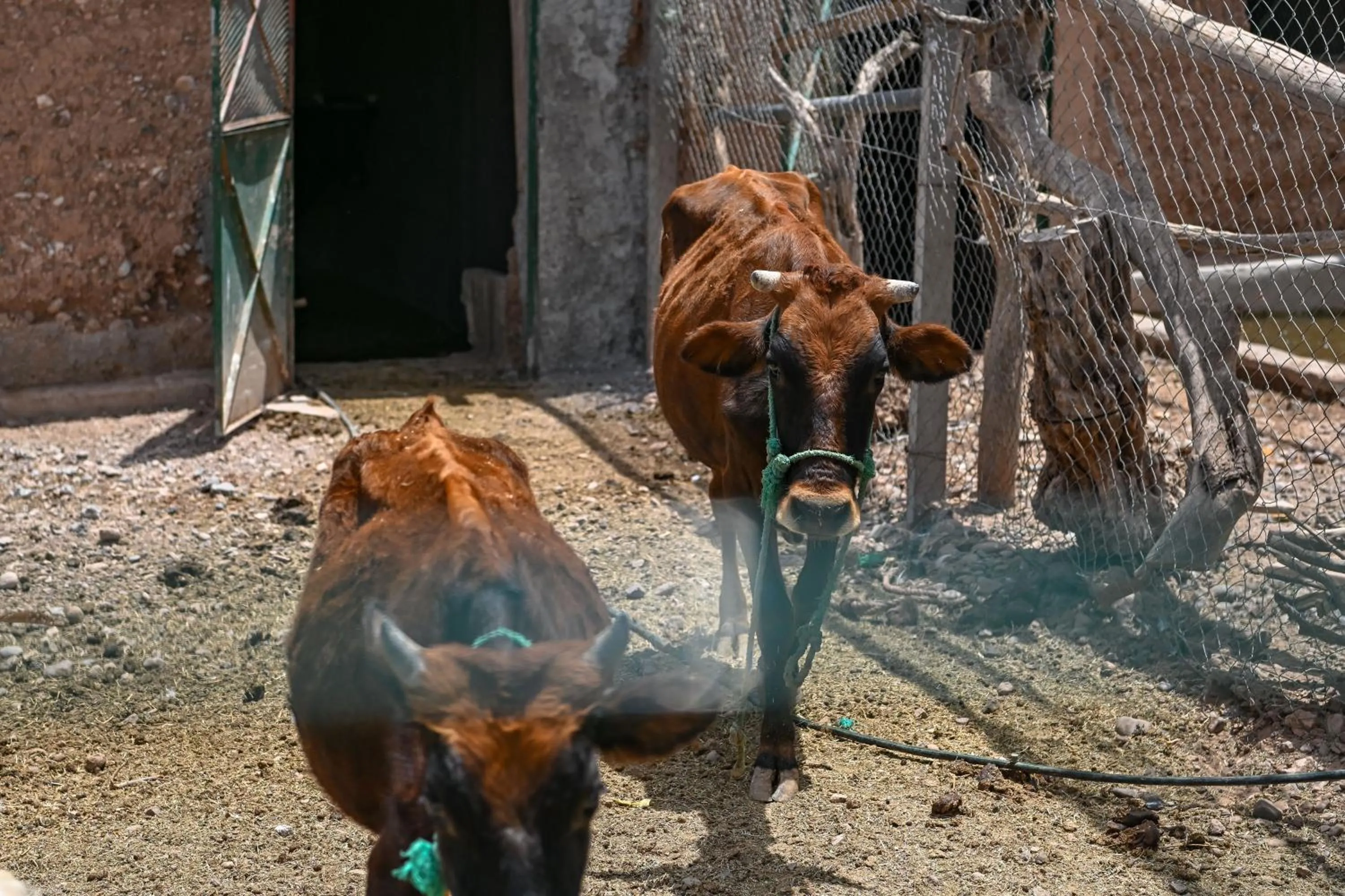 Le Parc des Oliviers