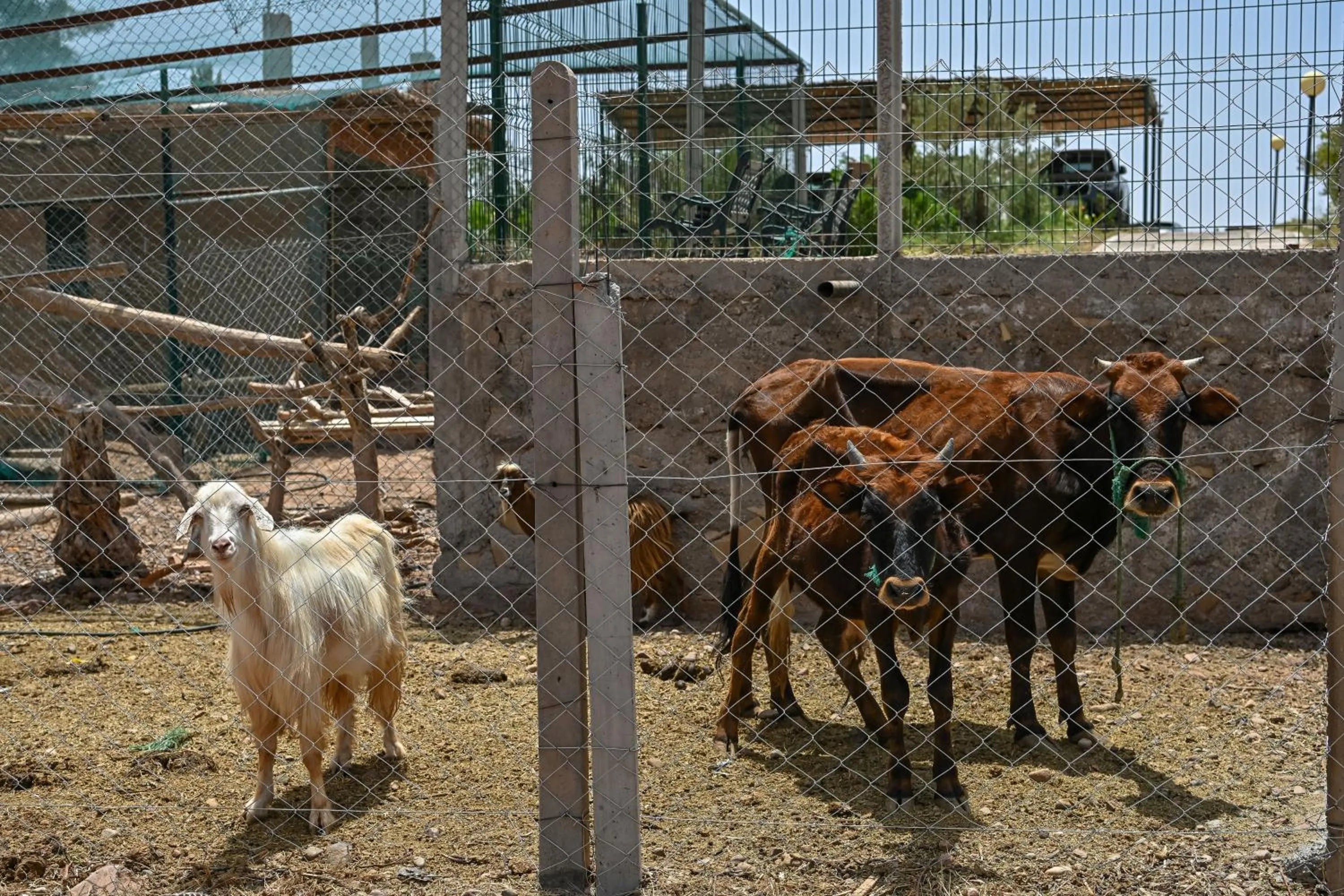 Le Parc des Oliviers