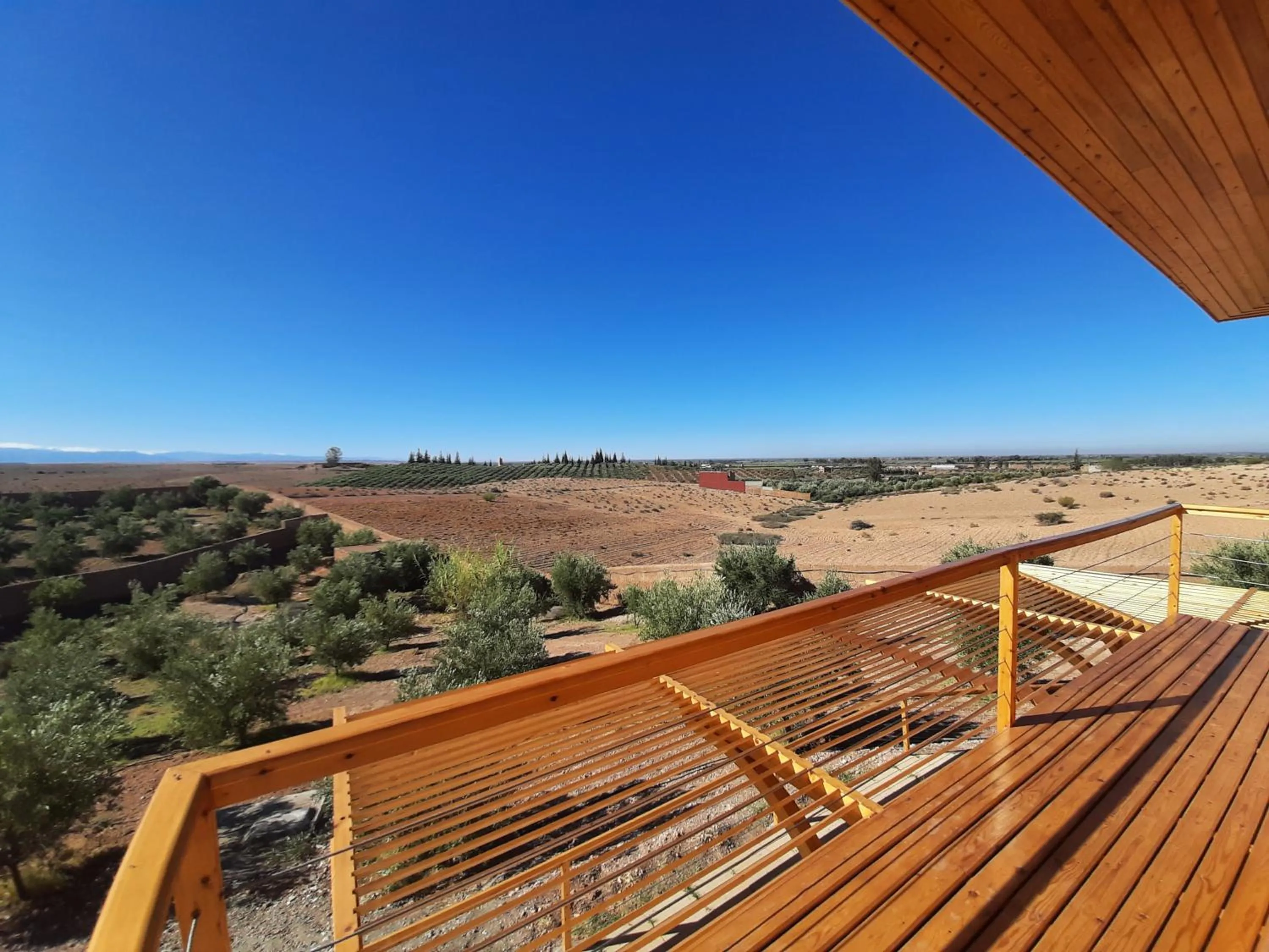 Le Parc des Oliviers