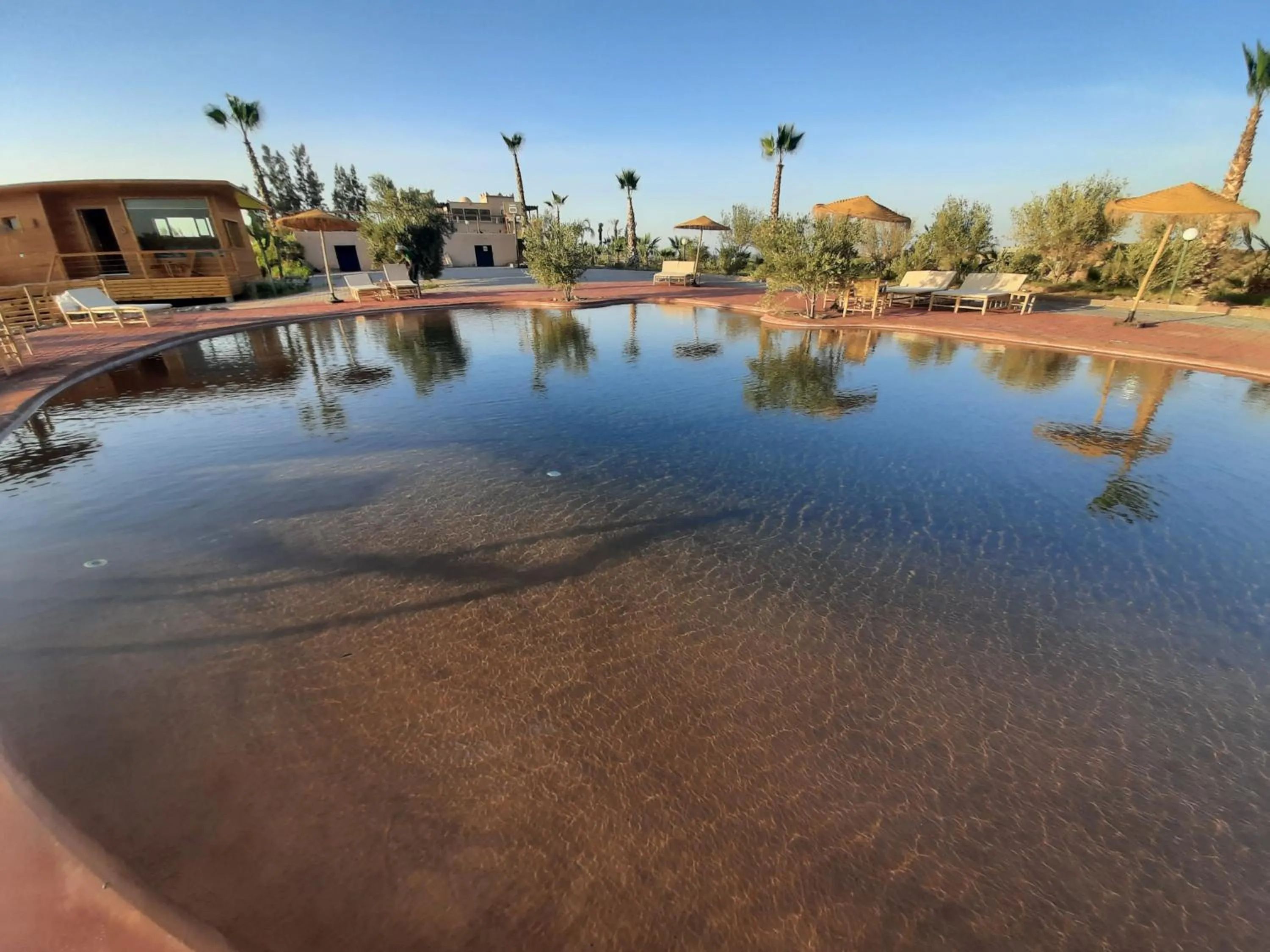 Le Parc des Oliviers