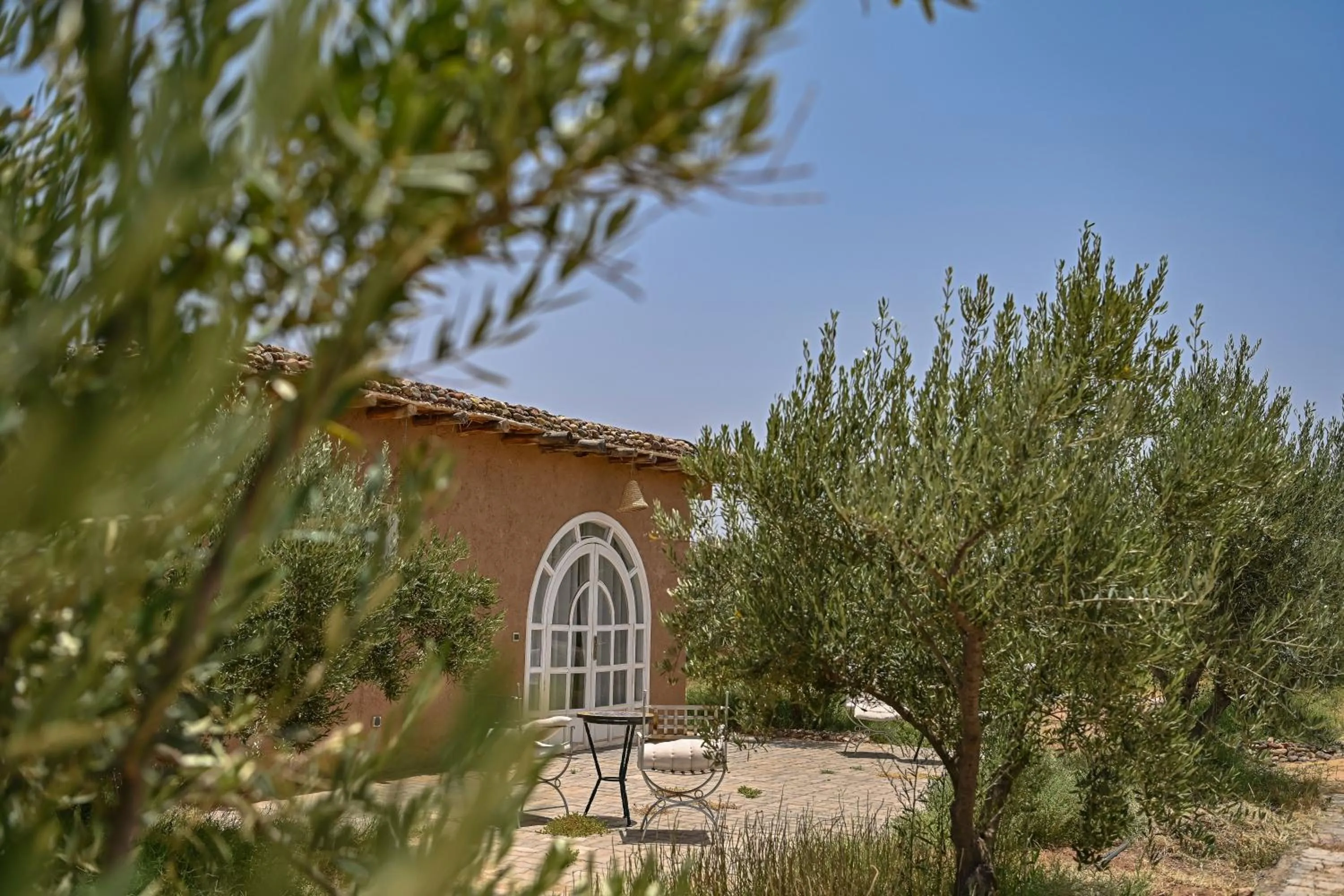 Le Parc des Oliviers