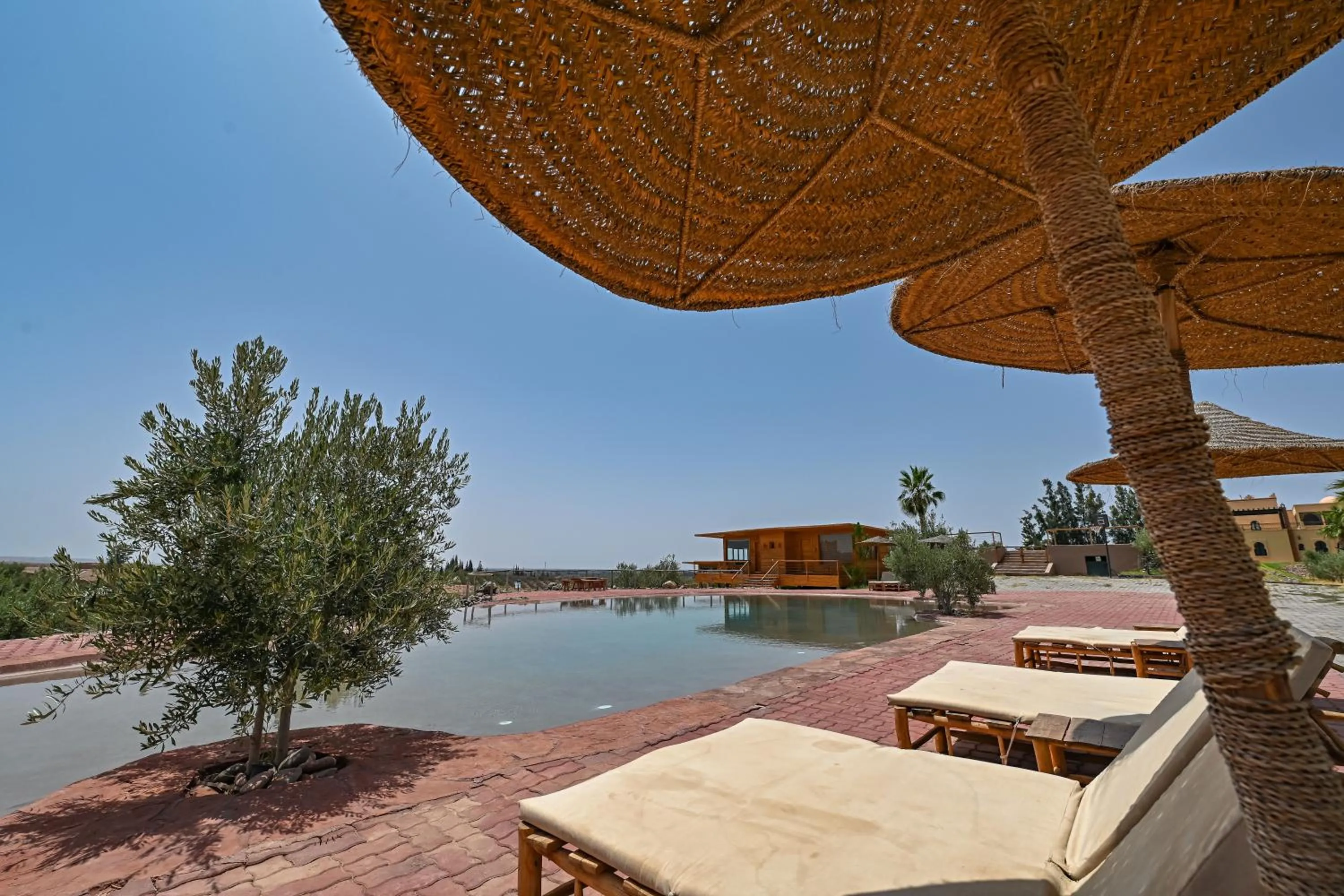 Le Parc des Oliviers