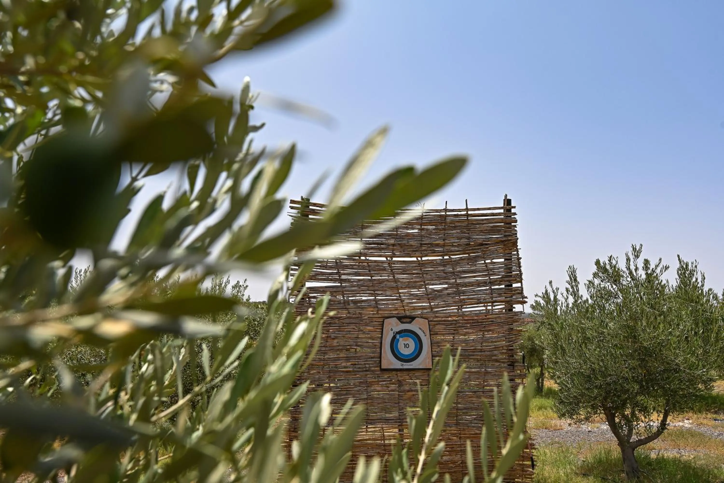 Le Parc des Oliviers