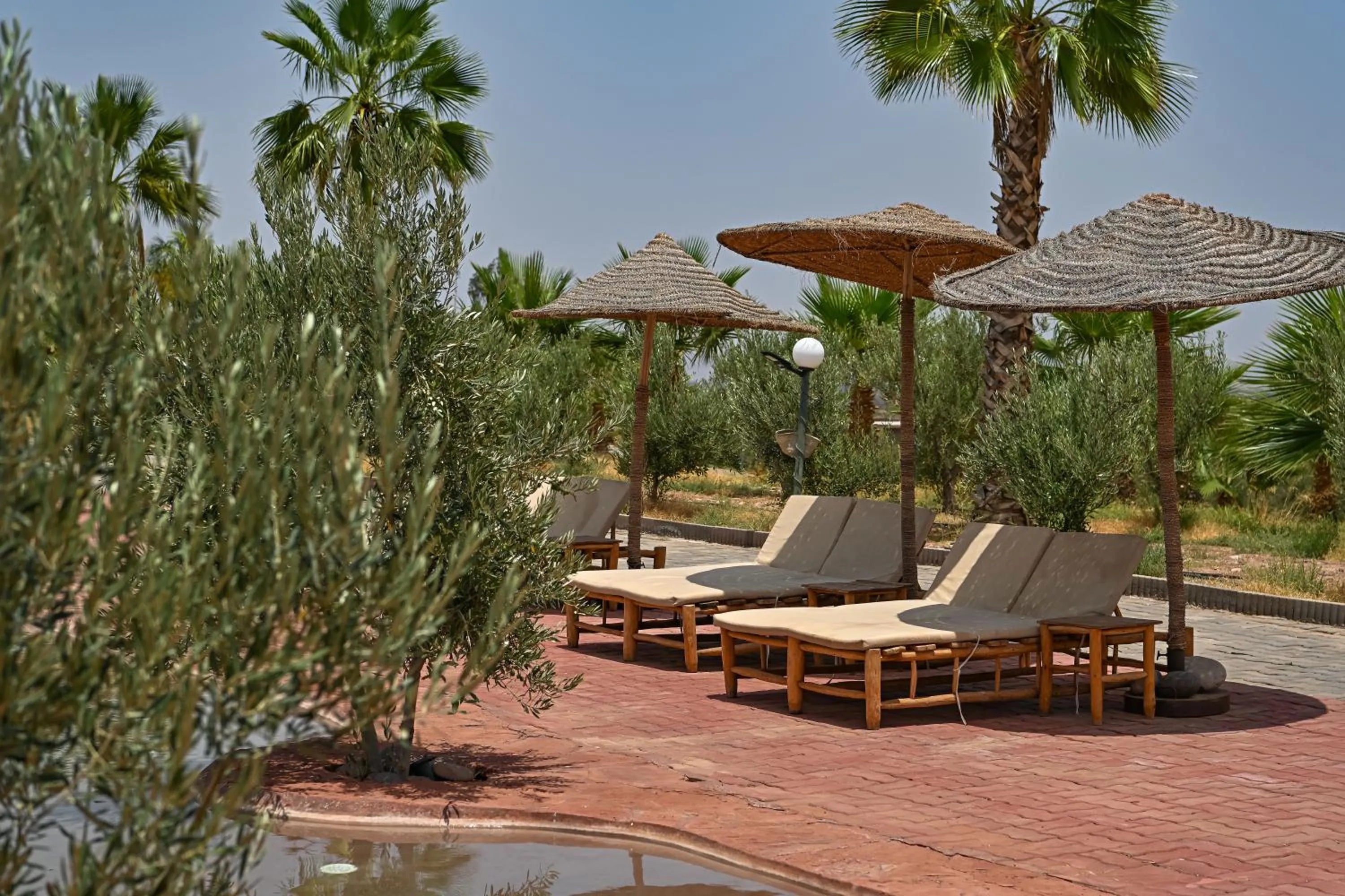 Le Parc des Oliviers