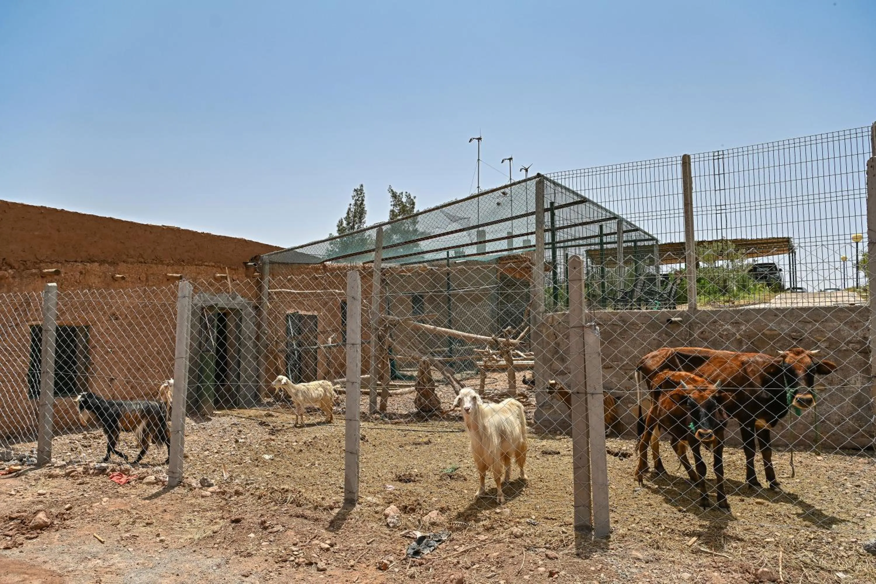 Le Parc des Oliviers