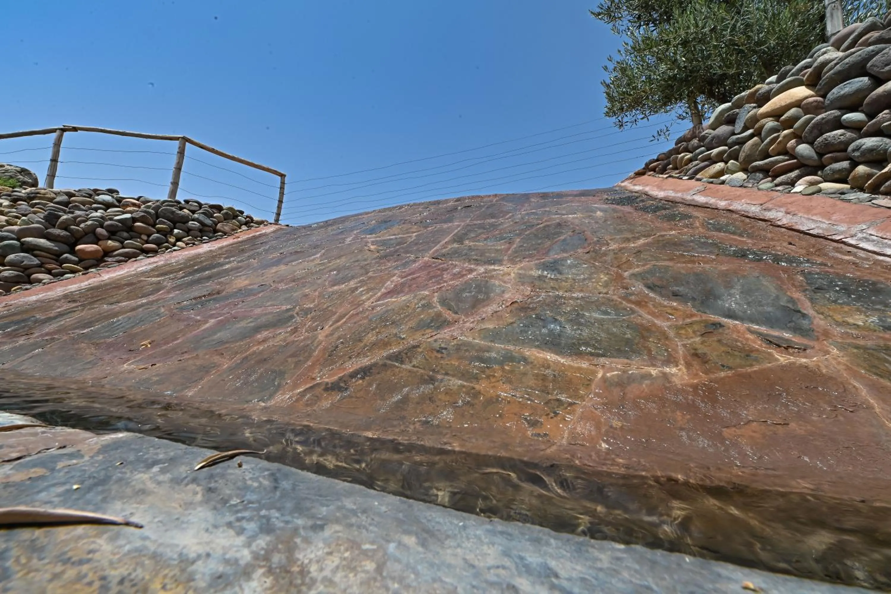 Le Parc des Oliviers