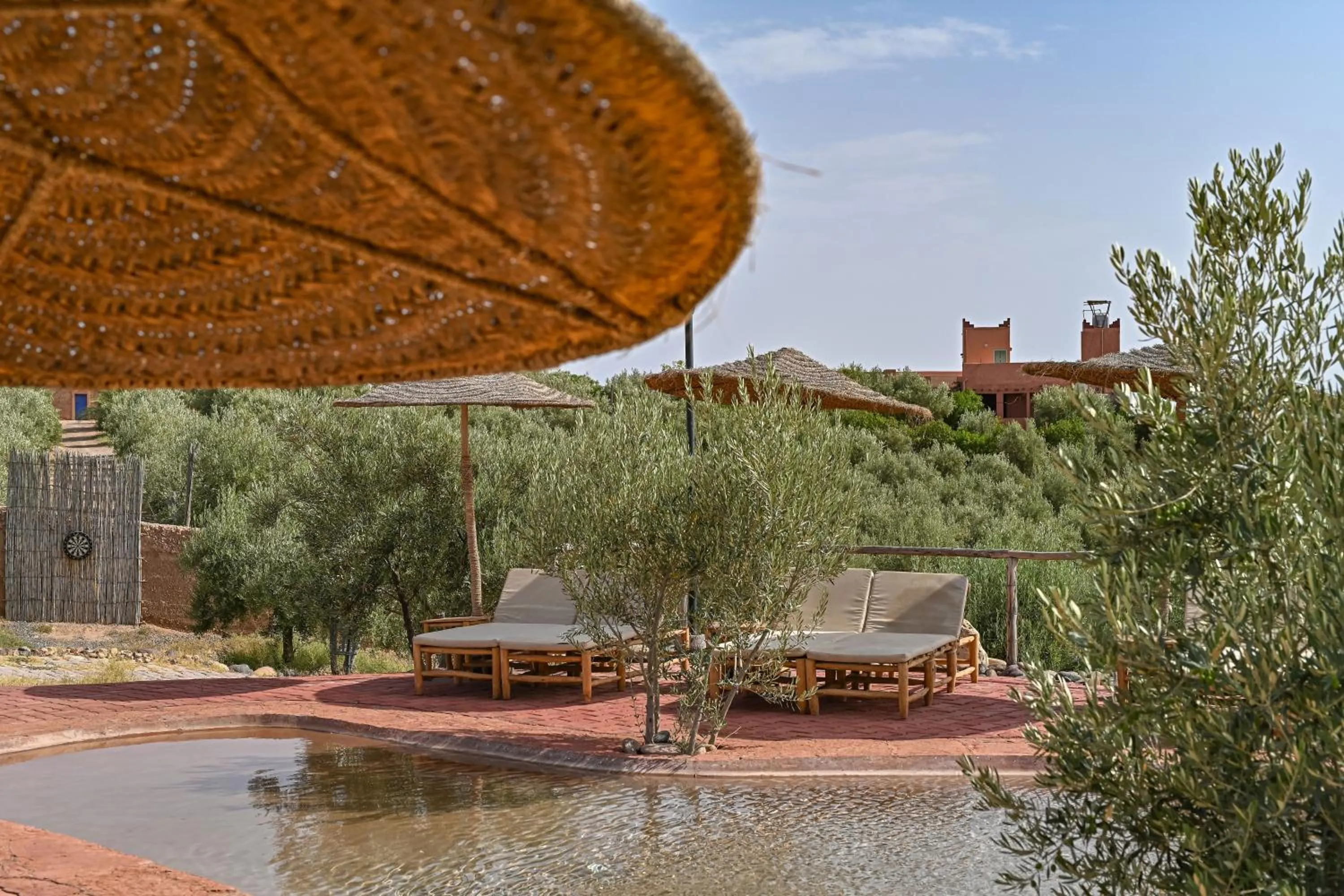 Le Parc des Oliviers