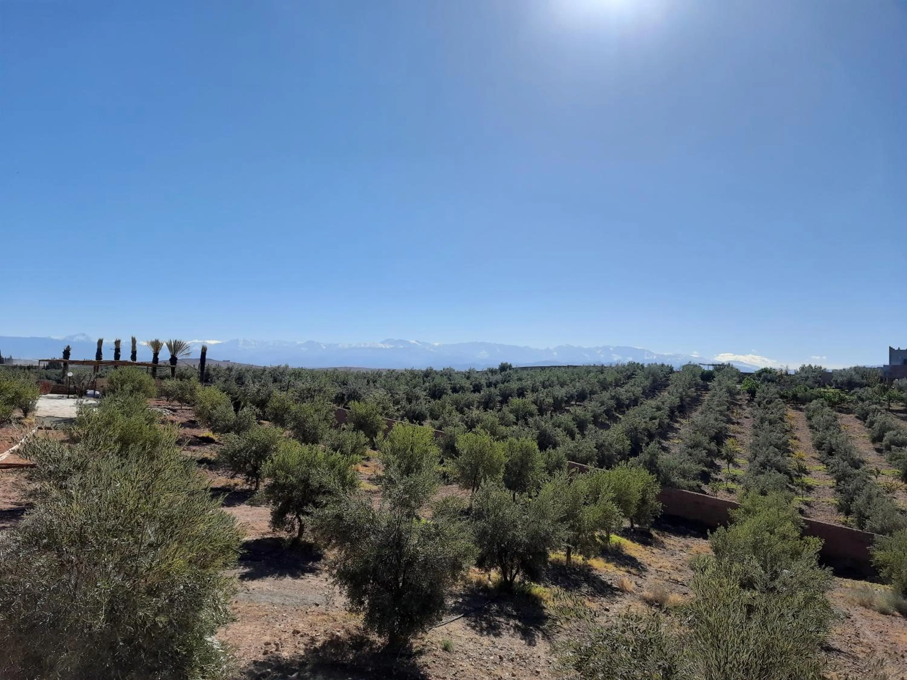 Le Parc des Oliviers