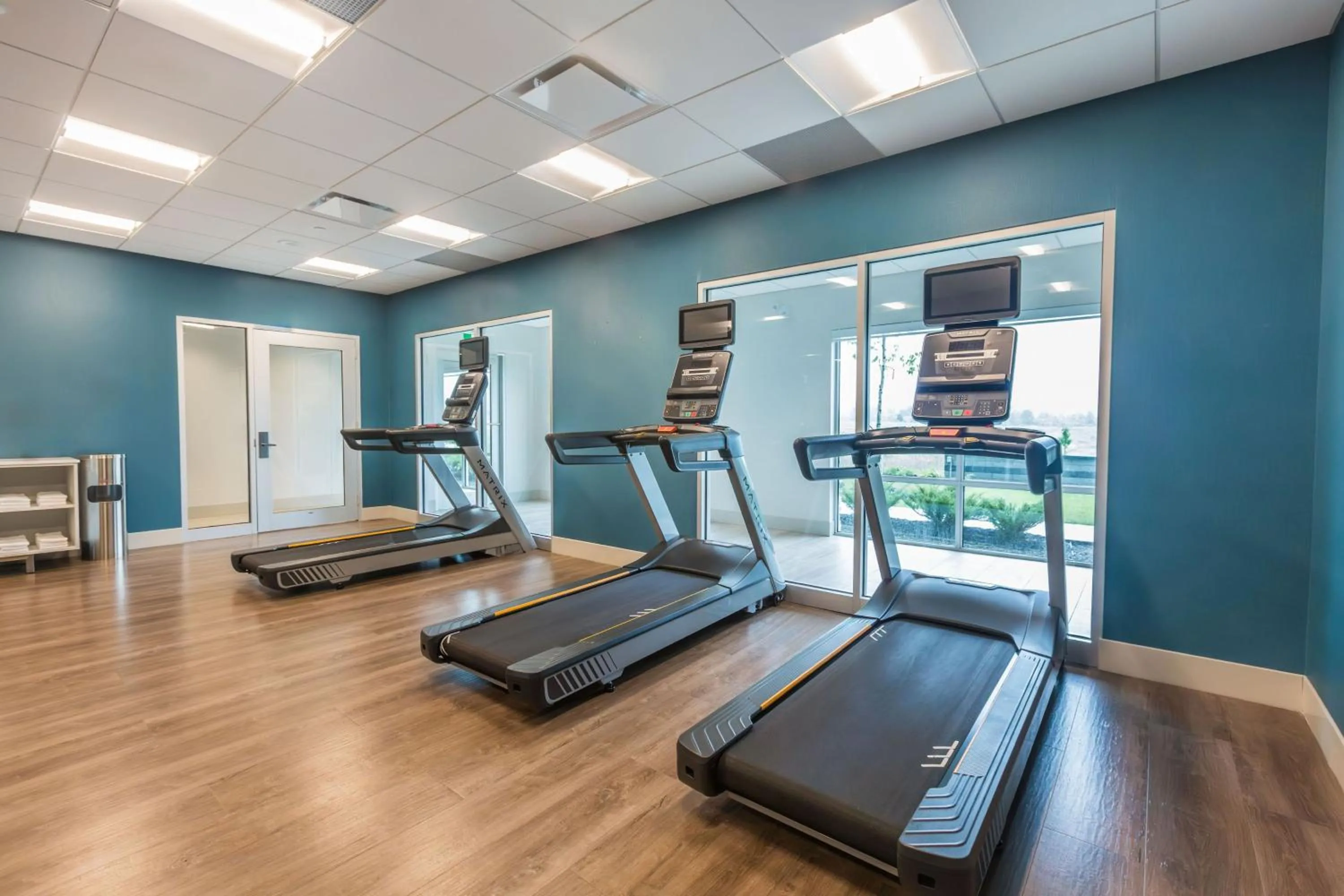 Fitness centre/facilities in Holiday Inn Express & Suites - Welland