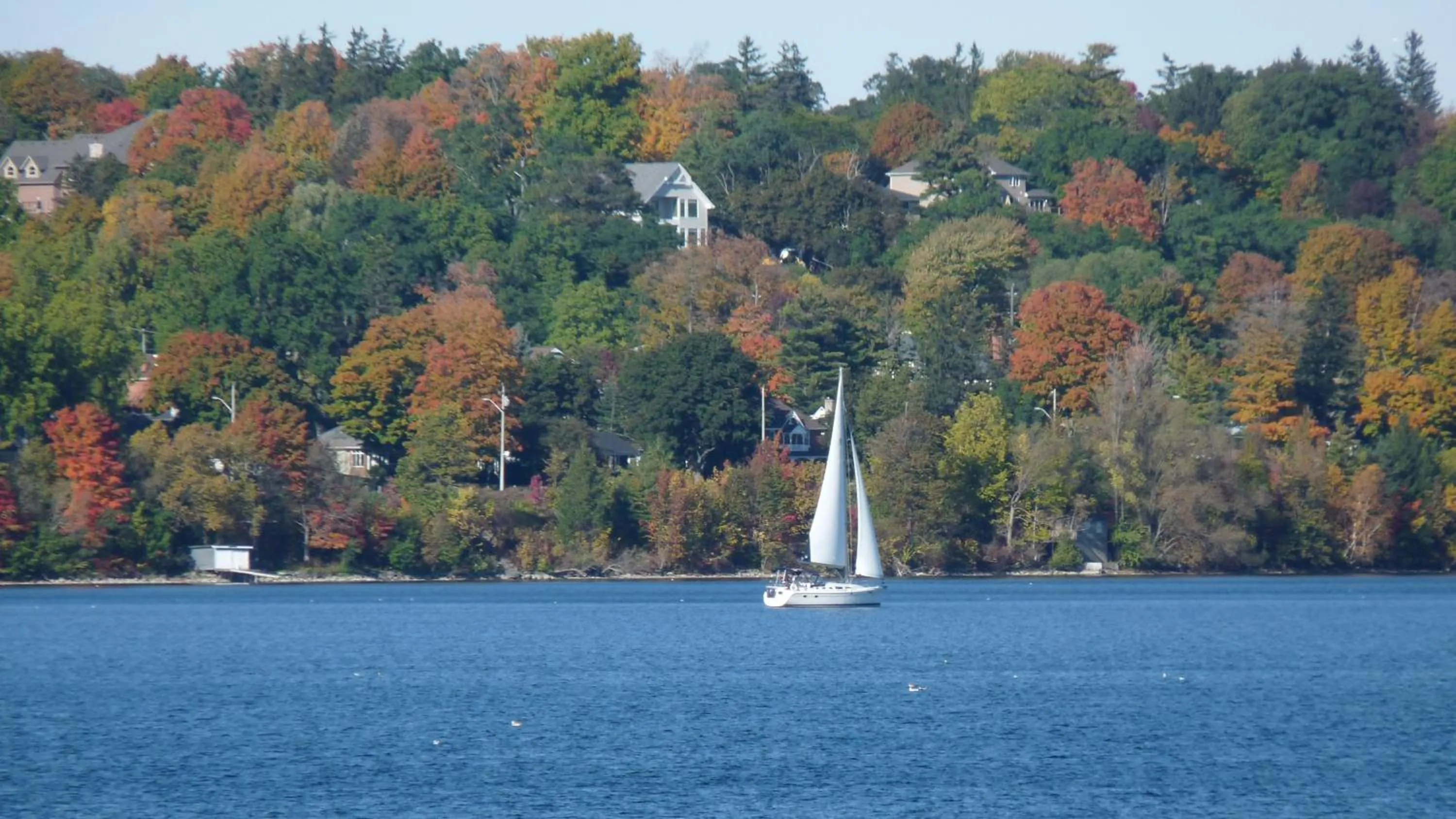 Area and facilities in Holiday Inn Express & Suites - Welland