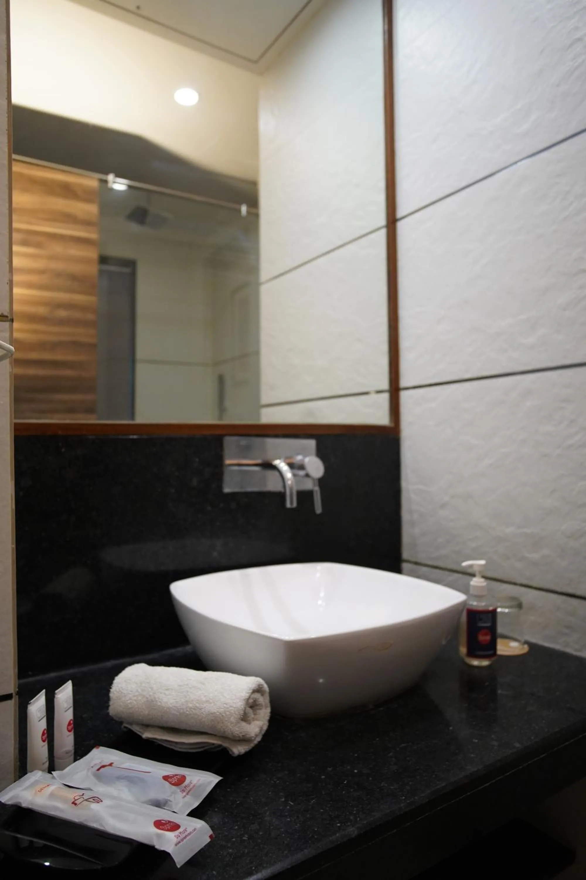 Toilet in Spree Hotel Jaipur