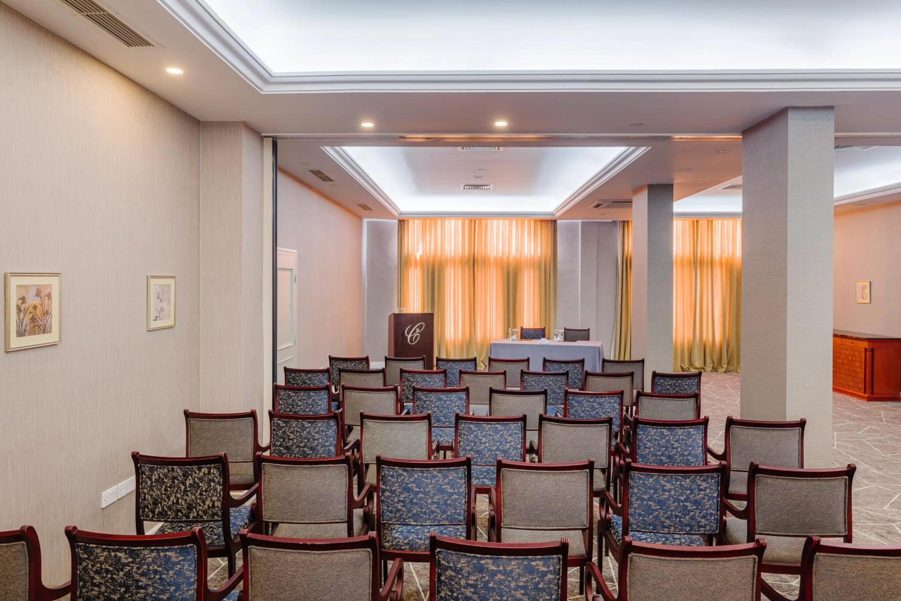 Meeting/conference room in The Arkin Colony Hotel