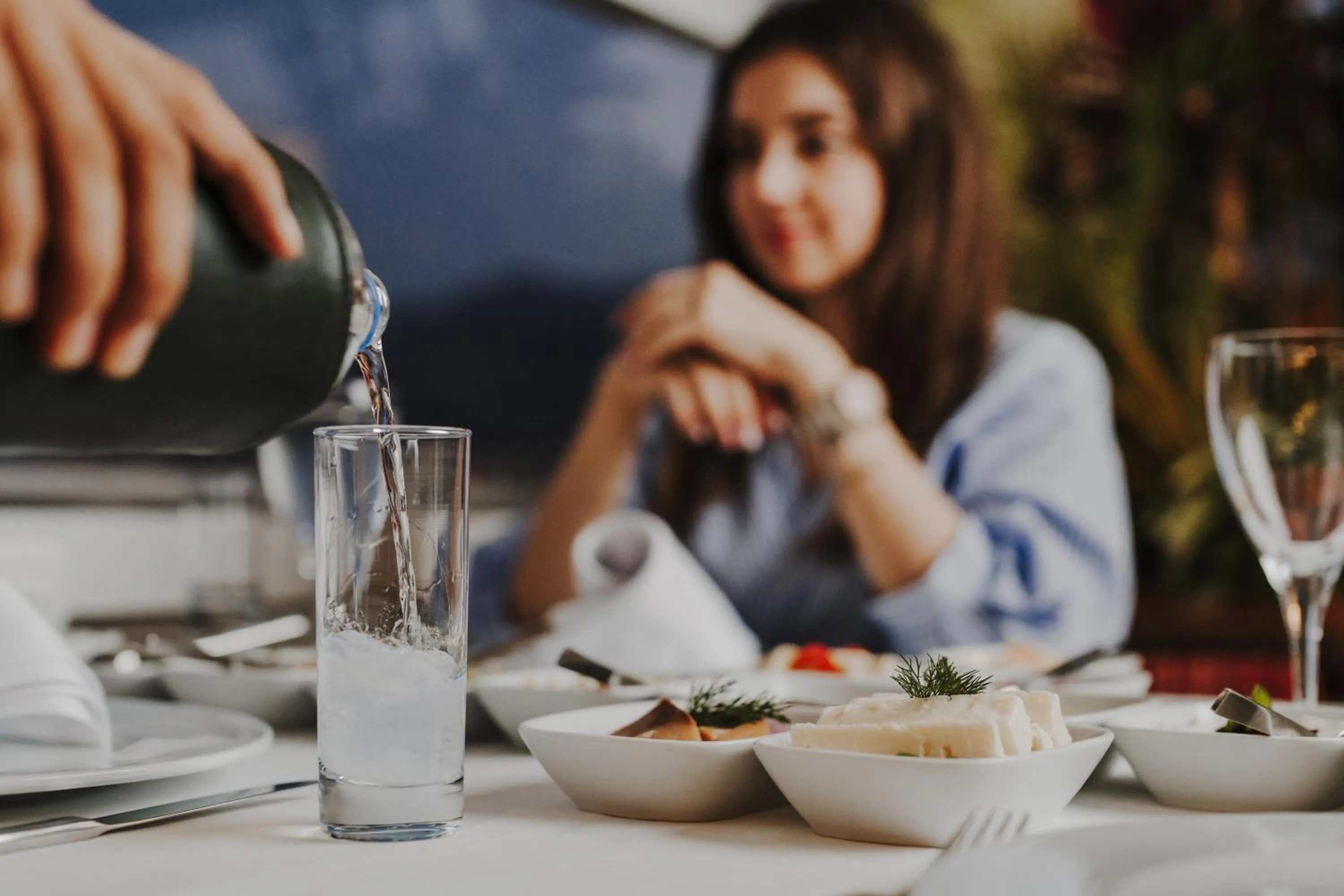 Restaurant/places to eat in The Arkin Colony Hotel