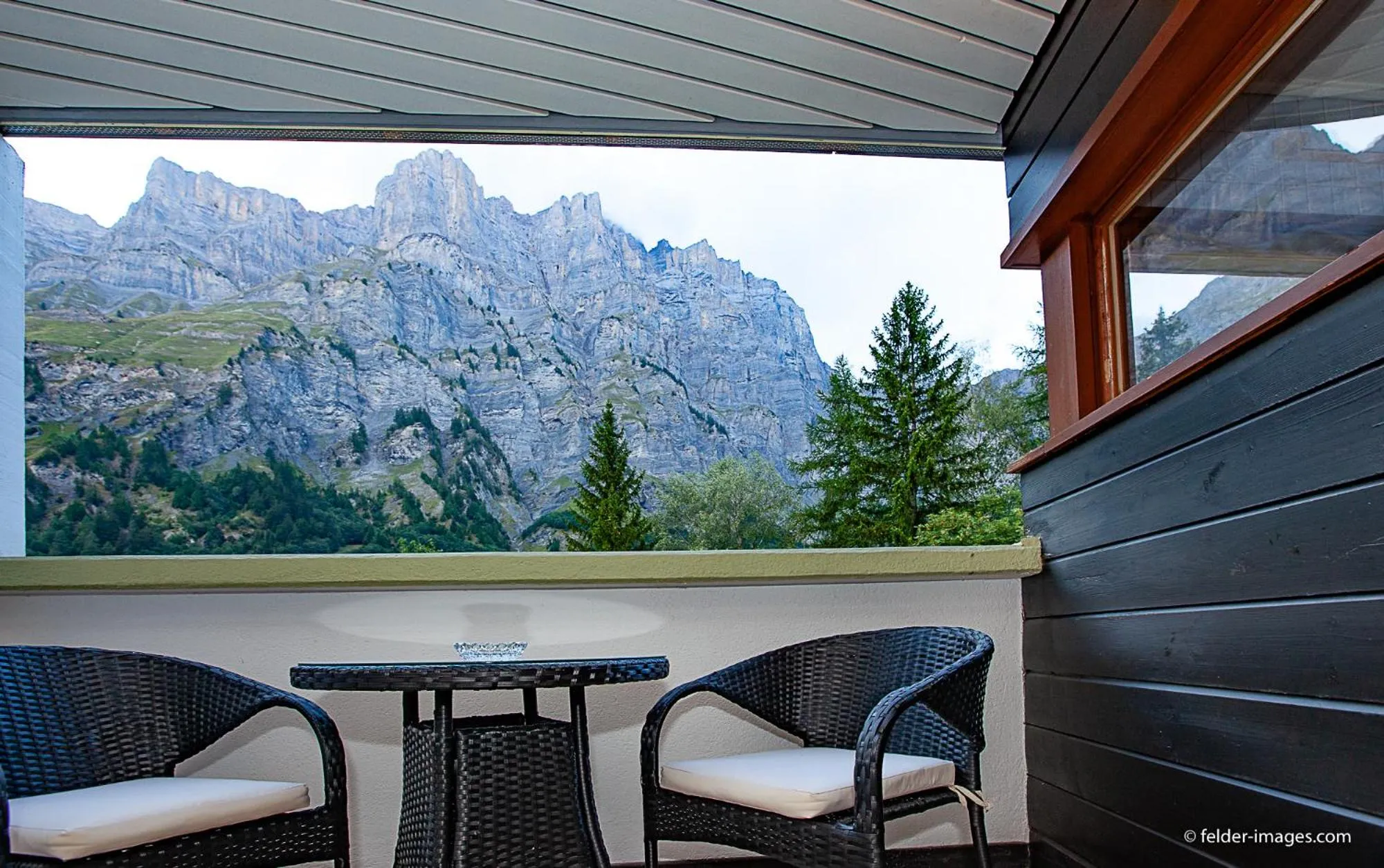 Natural landscape in Hotel Astoria