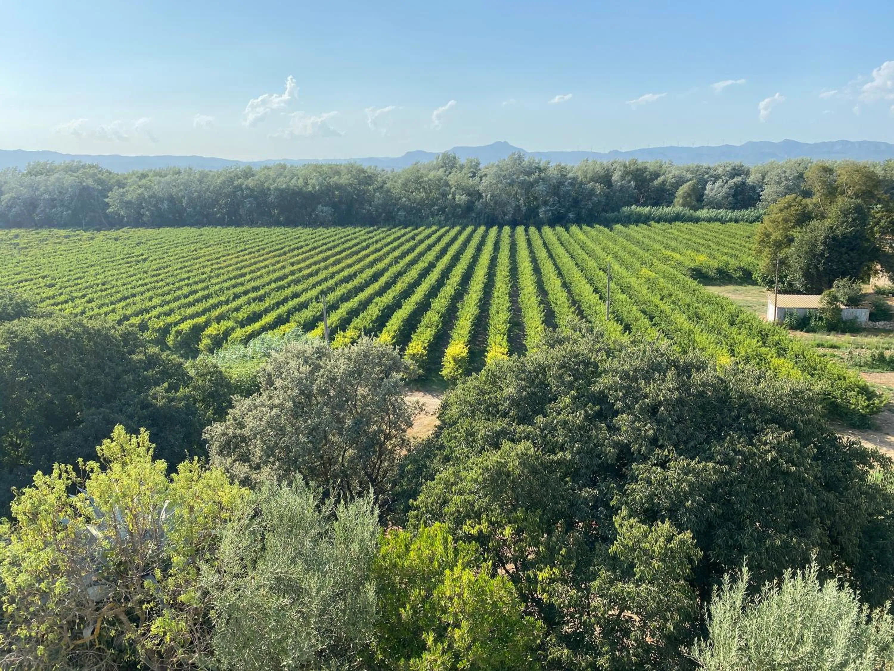 River view in Hotel Rural Mas de l'Illa