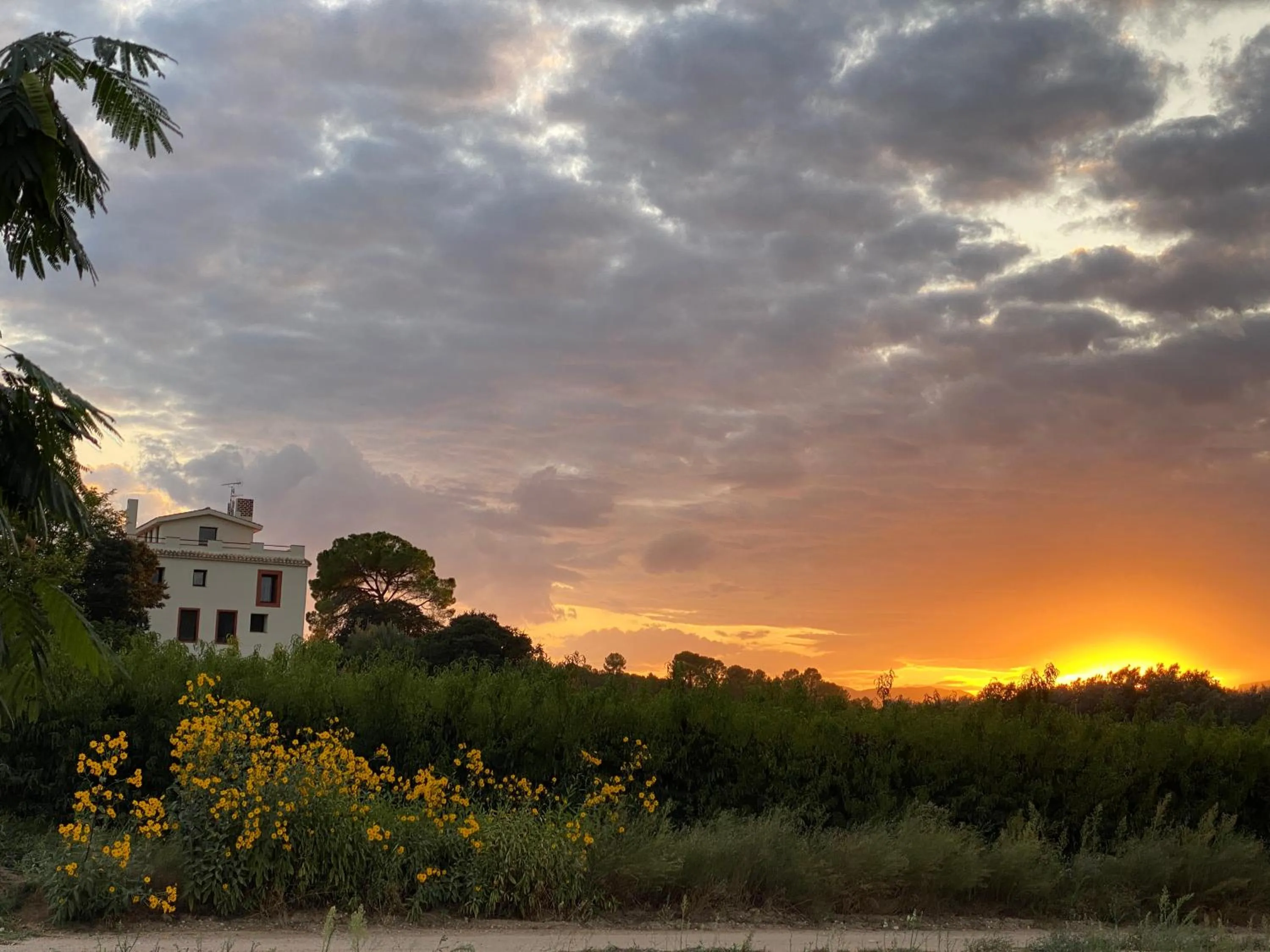 Floor plan in Hotel Rural Mas de l'Illa