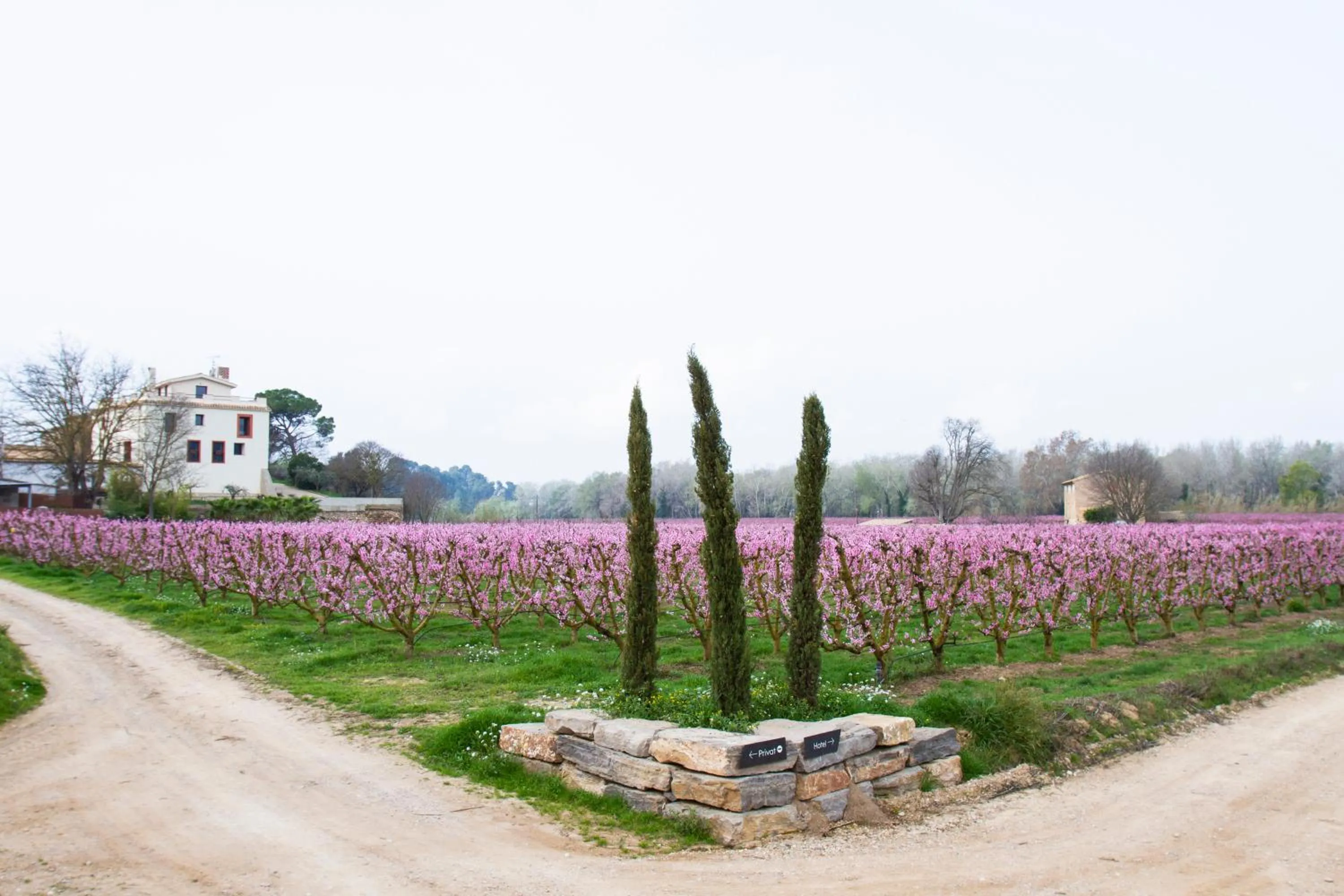 Garden in Hotel Rural Mas de l'Illa