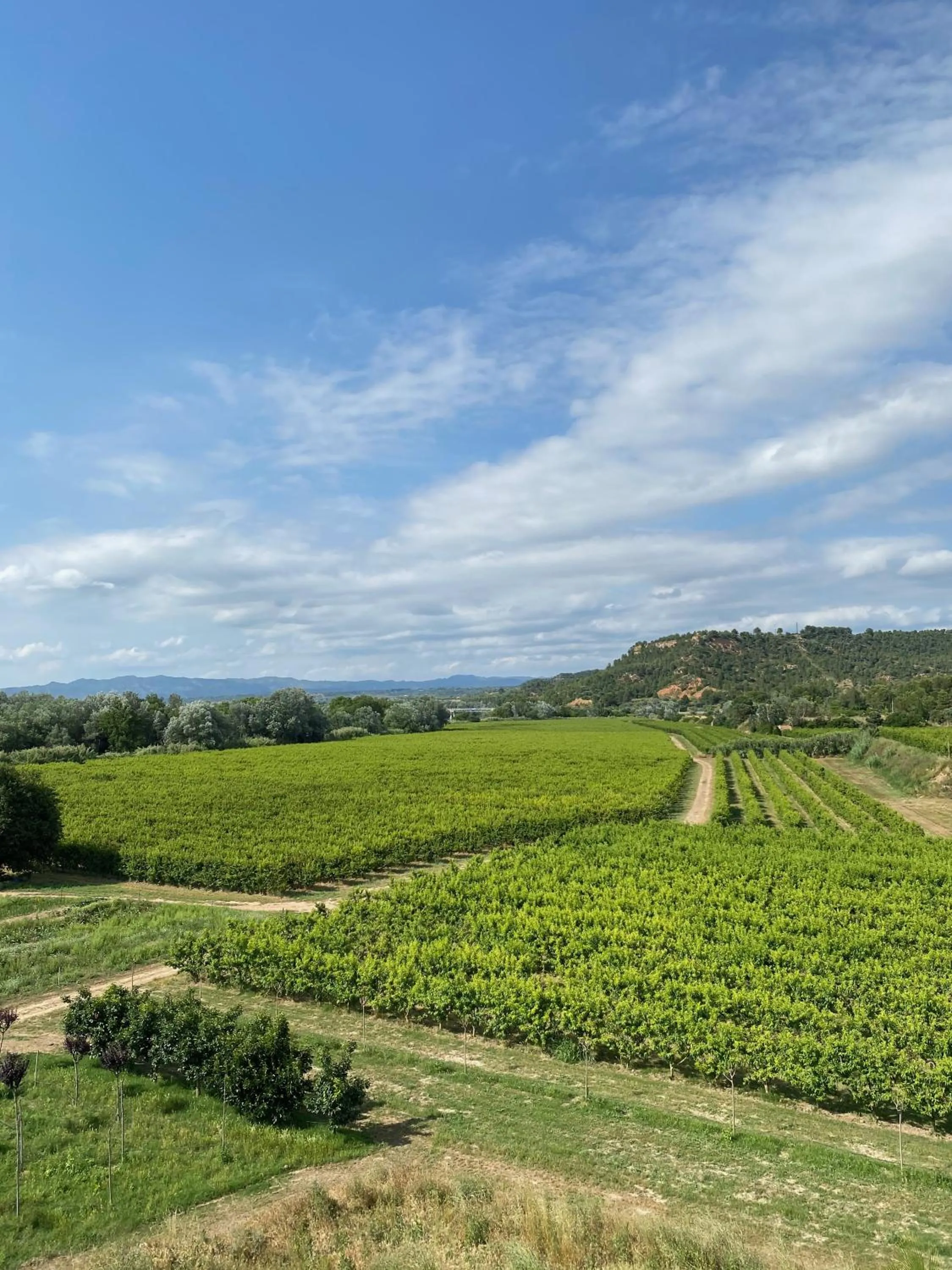 Mountain view in Hotel Rural Mas de l'Illa