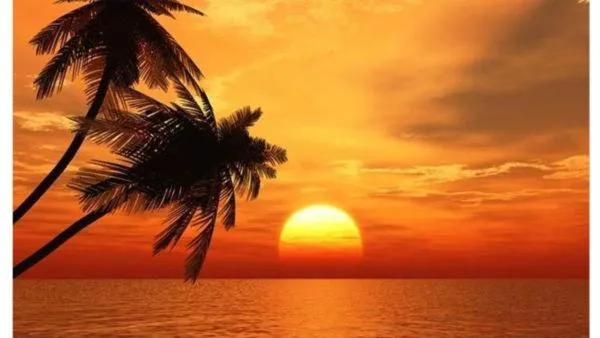 Welcome to the best beach anywhere