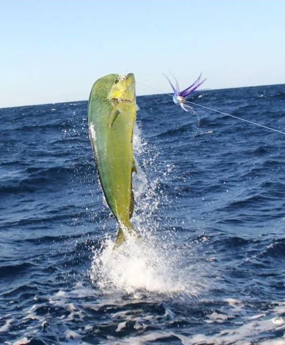 Welcome to the best beach anywhere