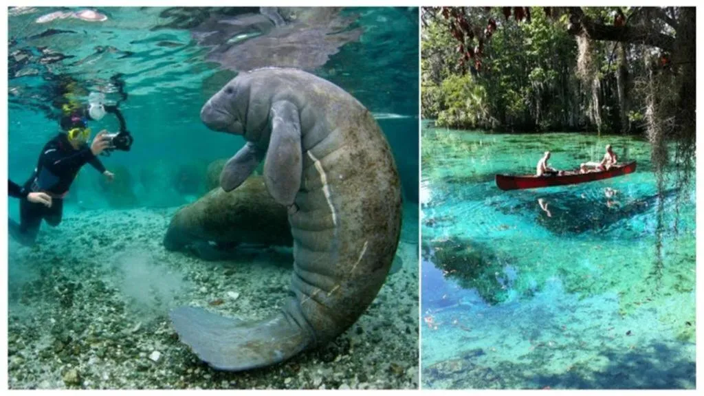 Welcome to the best beach anywhere