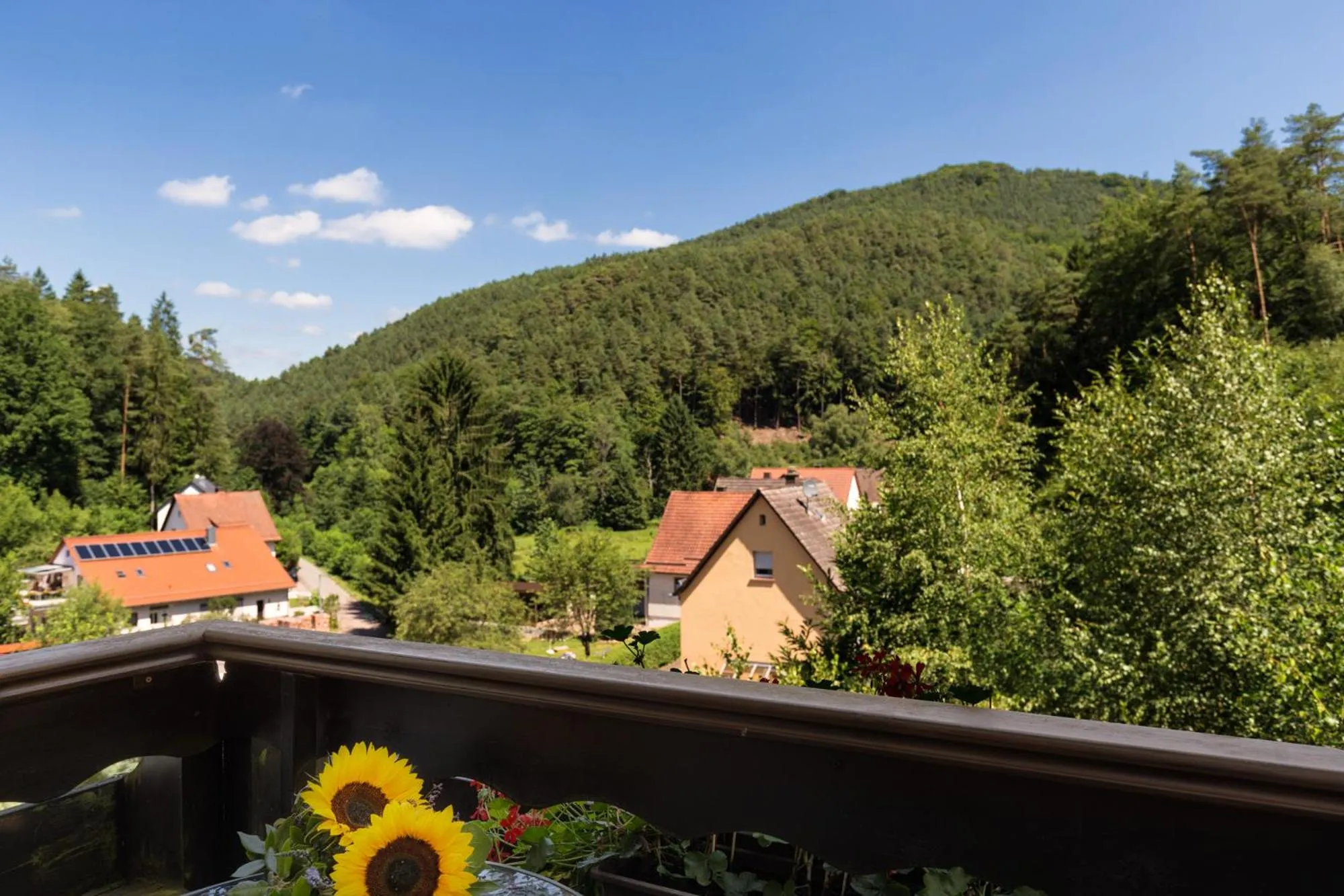 Garden view in Hotel Die Kleine Blume
