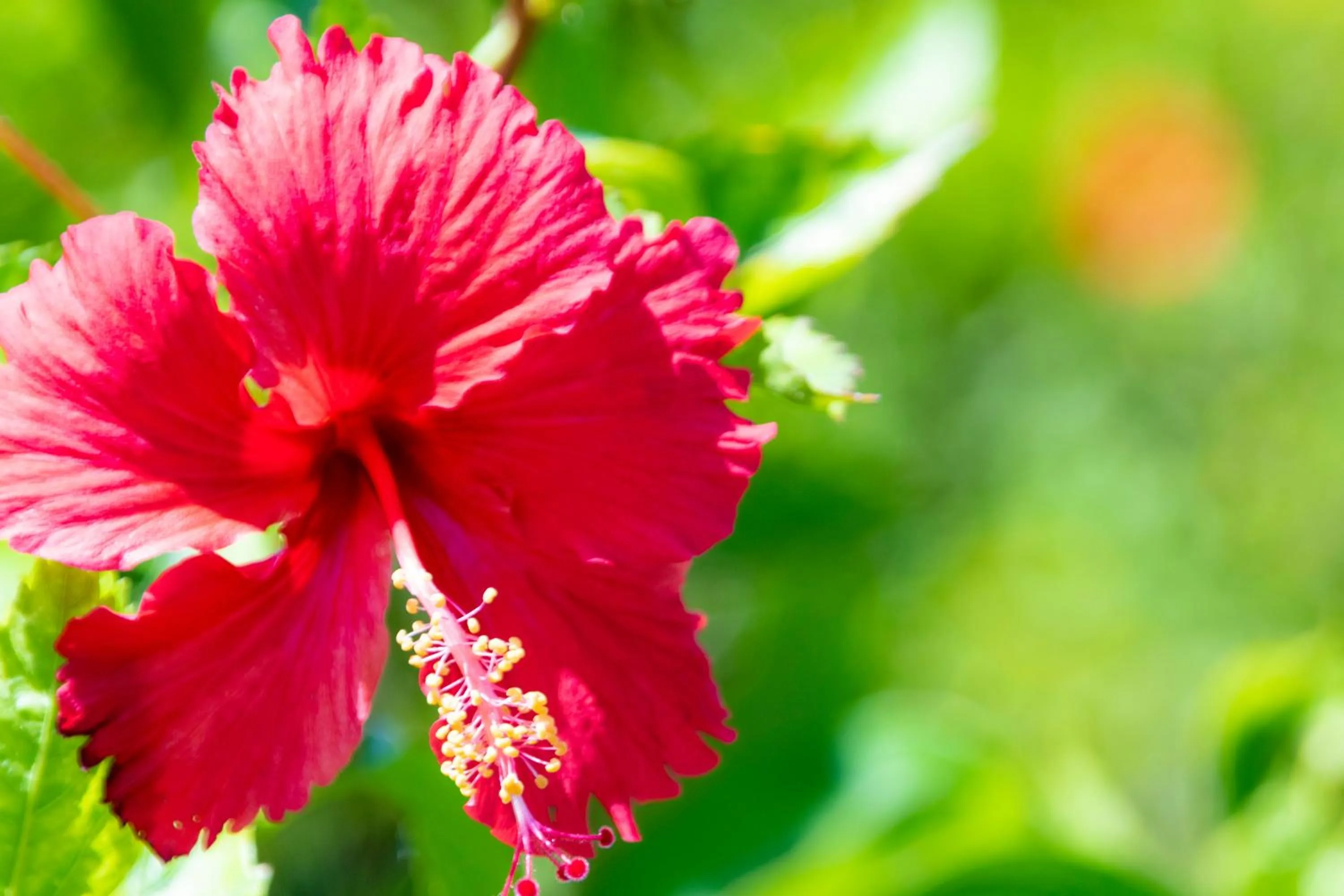 Neighbourhood in Hewitt Resort Naha