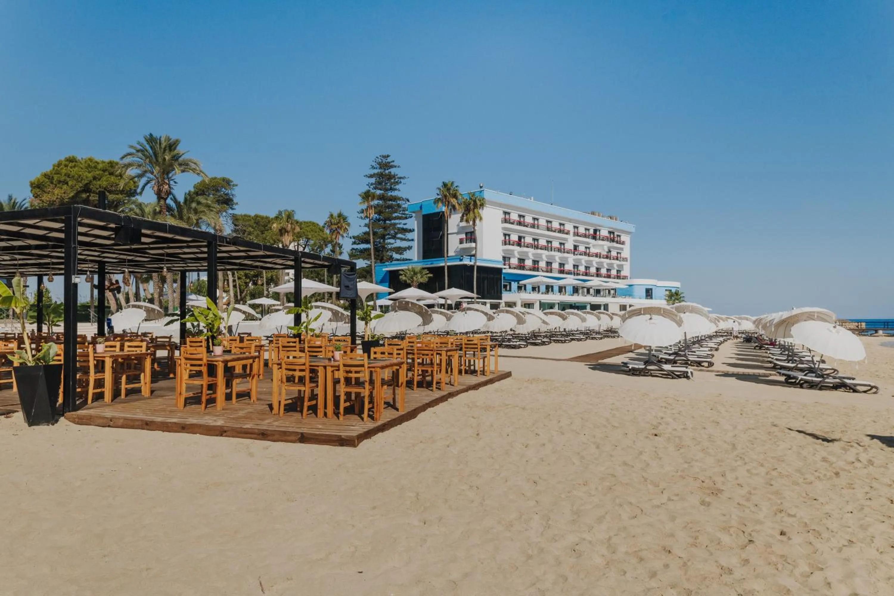 Beach in Arkin Palm Beach Hotel
